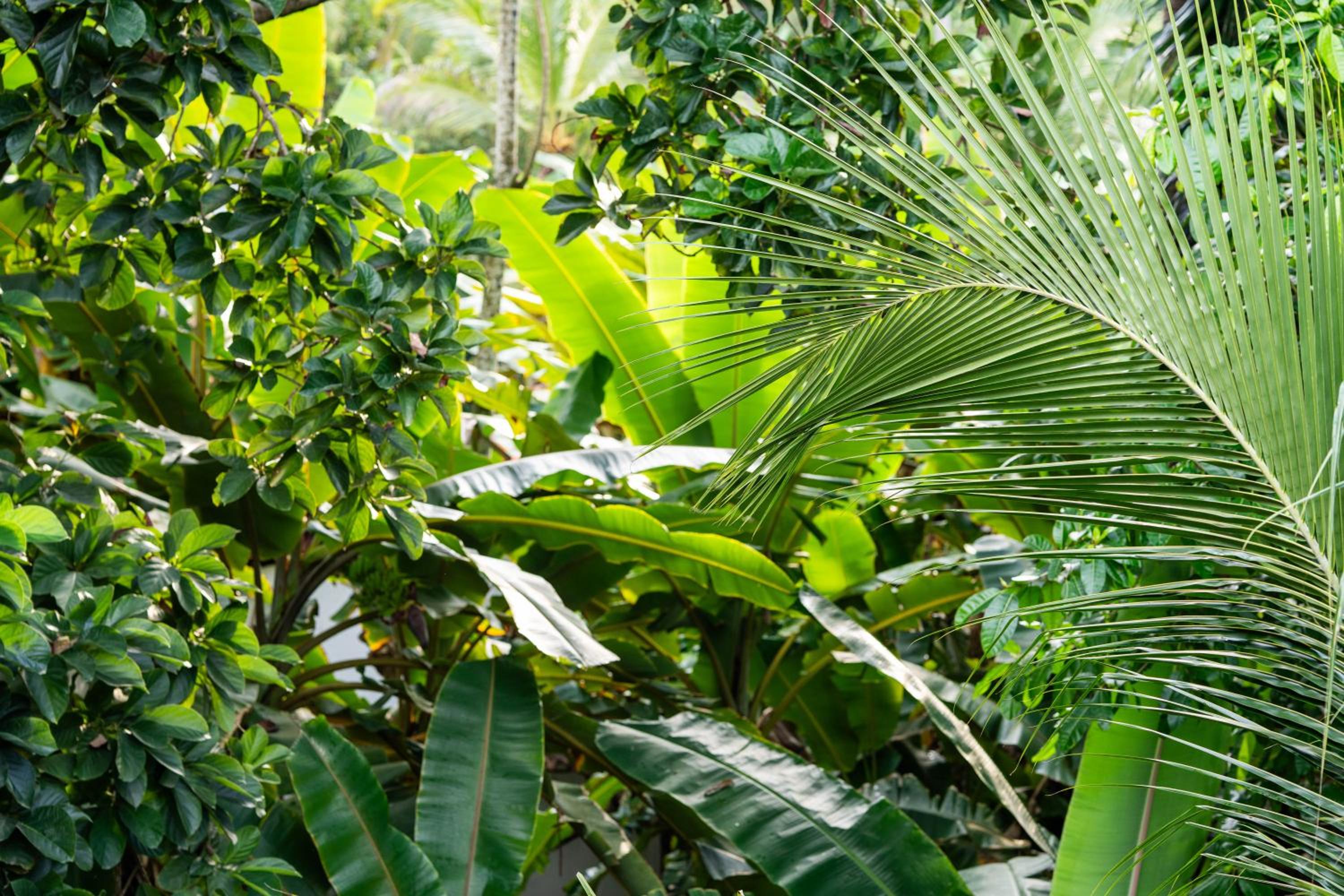 Tayrona Juanchos House Hostel
