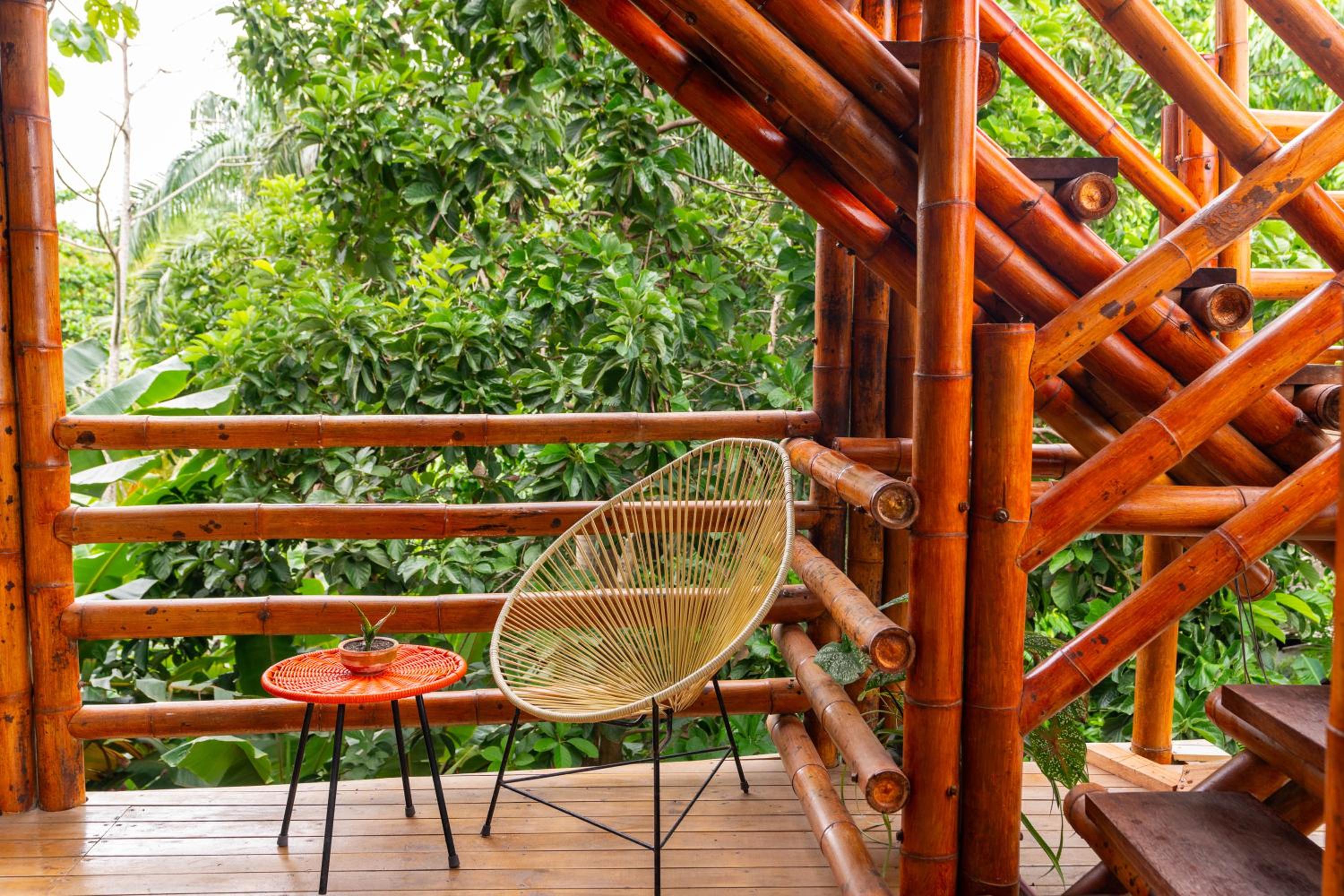 Tayrona Juanchos House Hostel
