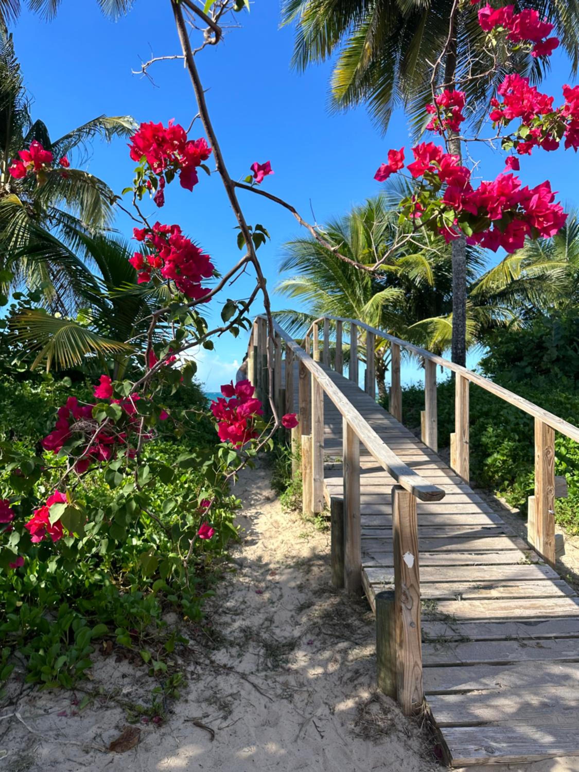 Tropical Studio view 3