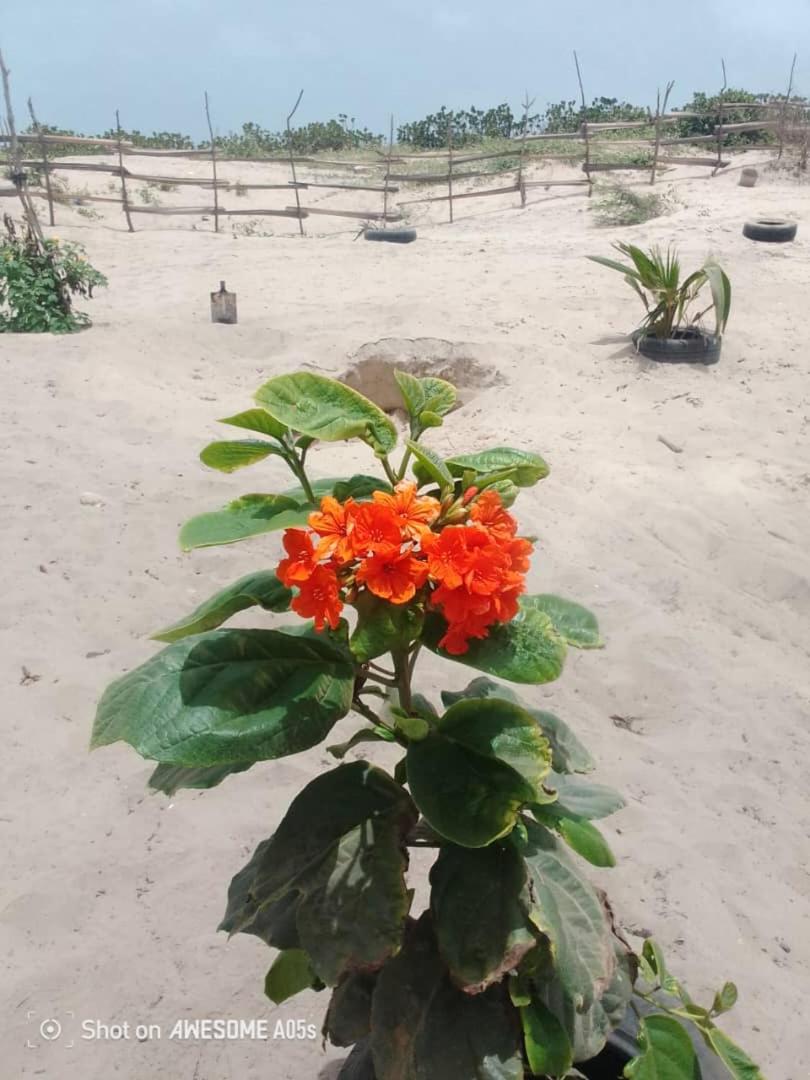 Baafeh Beach