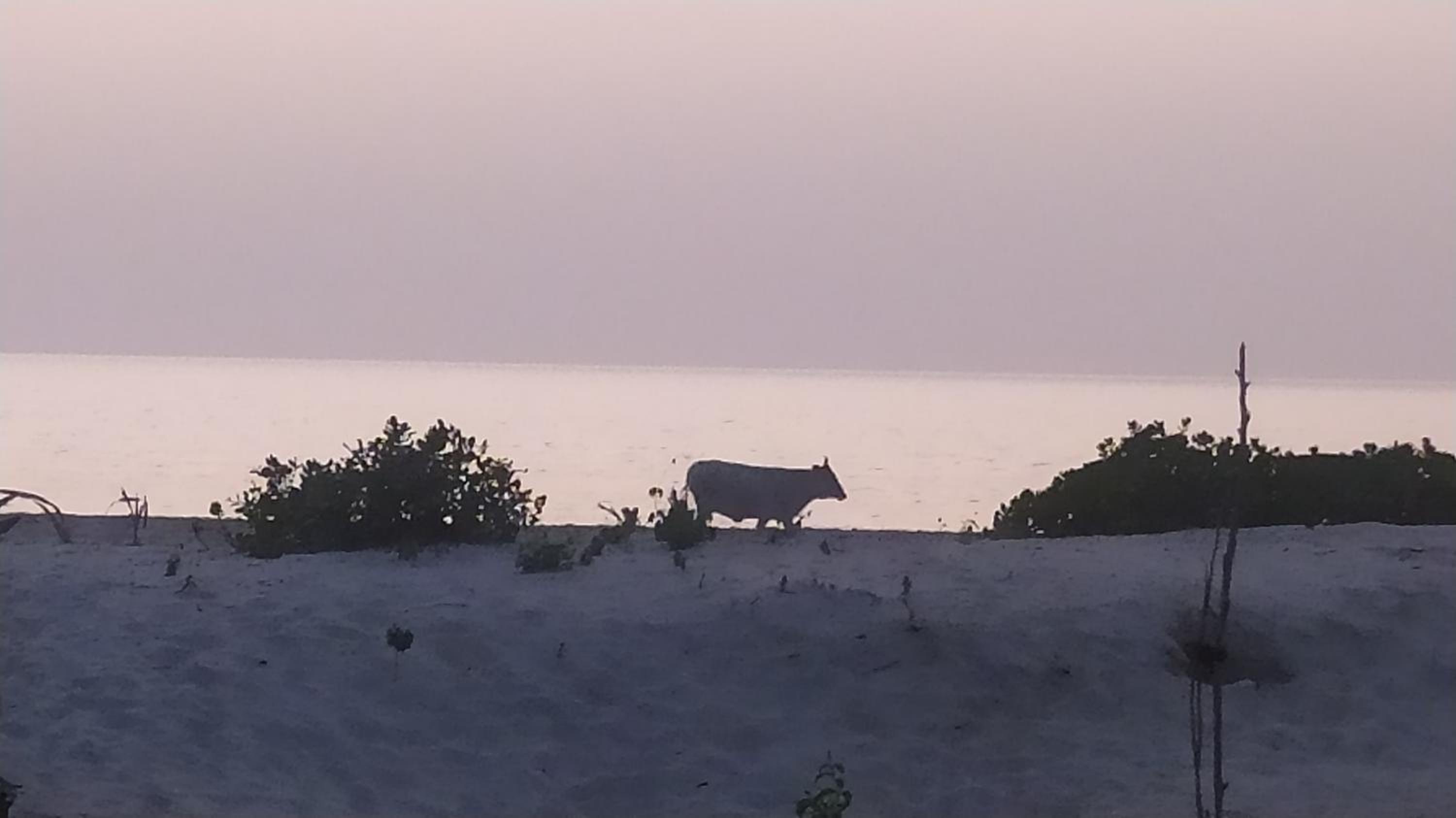 Baafeh Beach