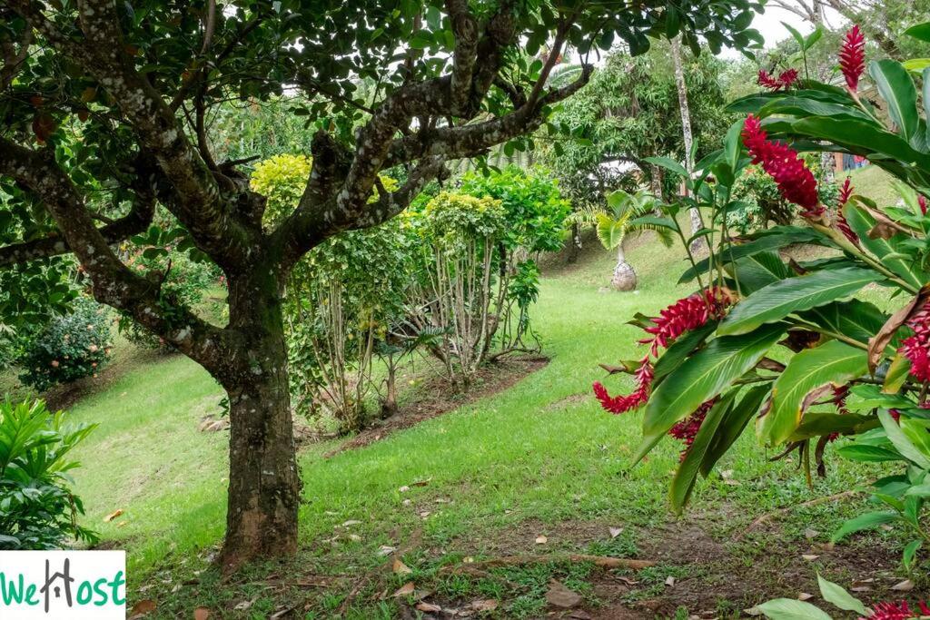 Rose de Porcelaine - Charming Creole house