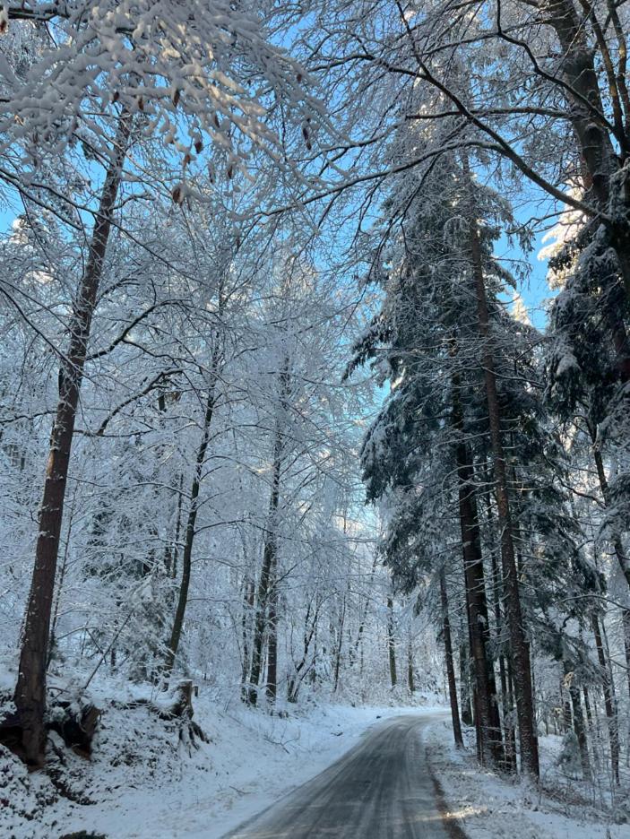 Haus Nebel