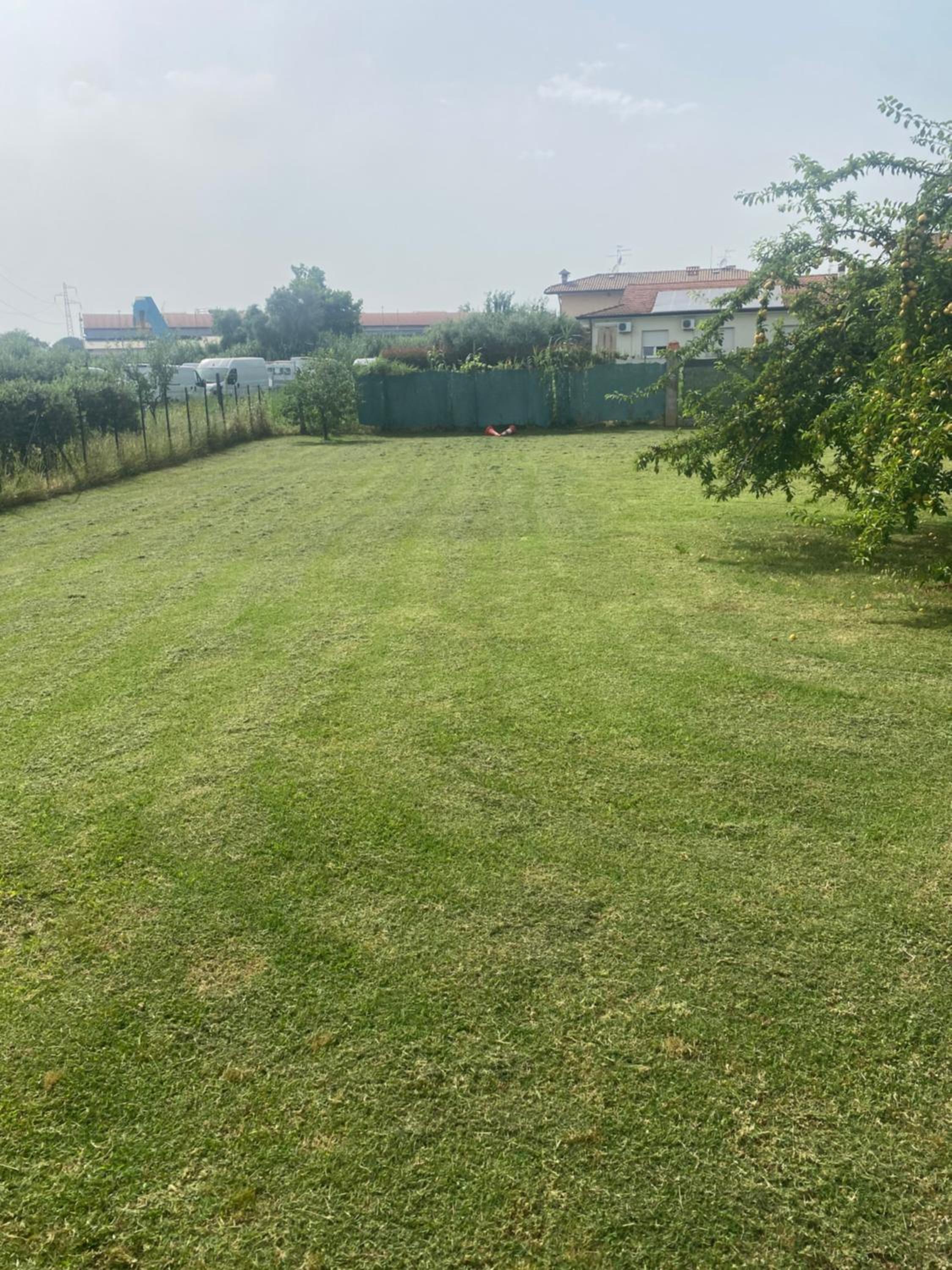 La Perla Marina photo 3