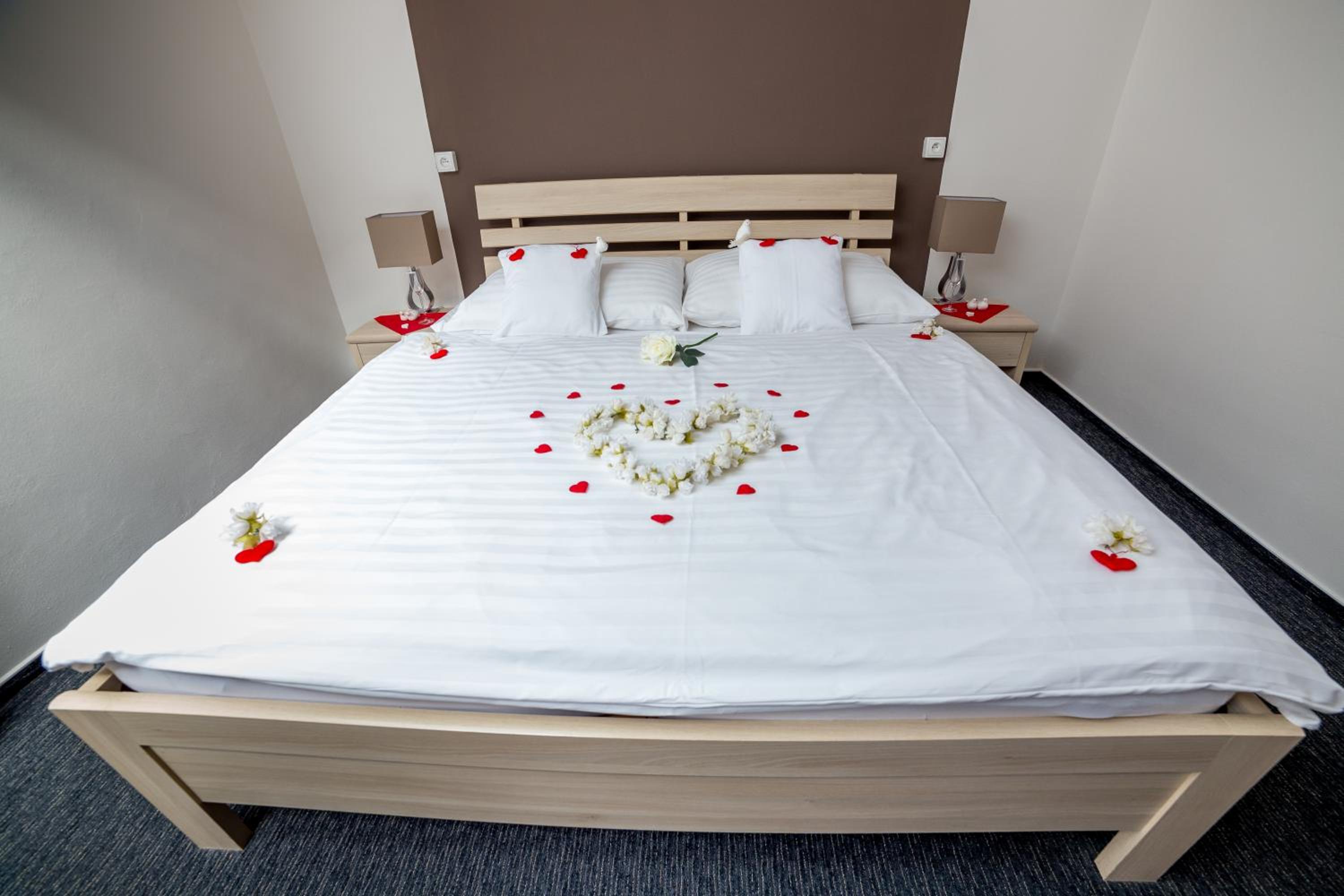 Hotel Lion