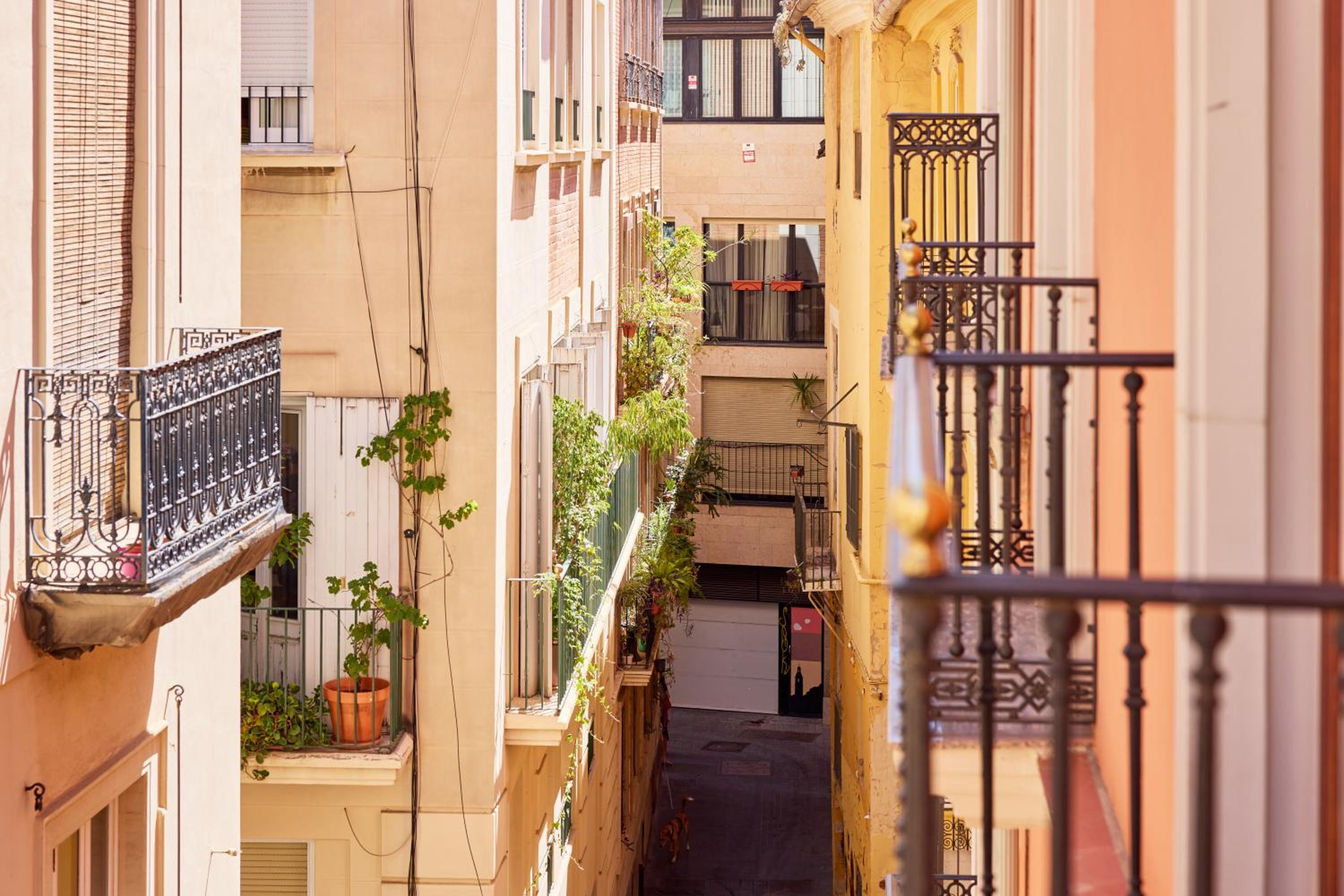 Citizentral Juristas