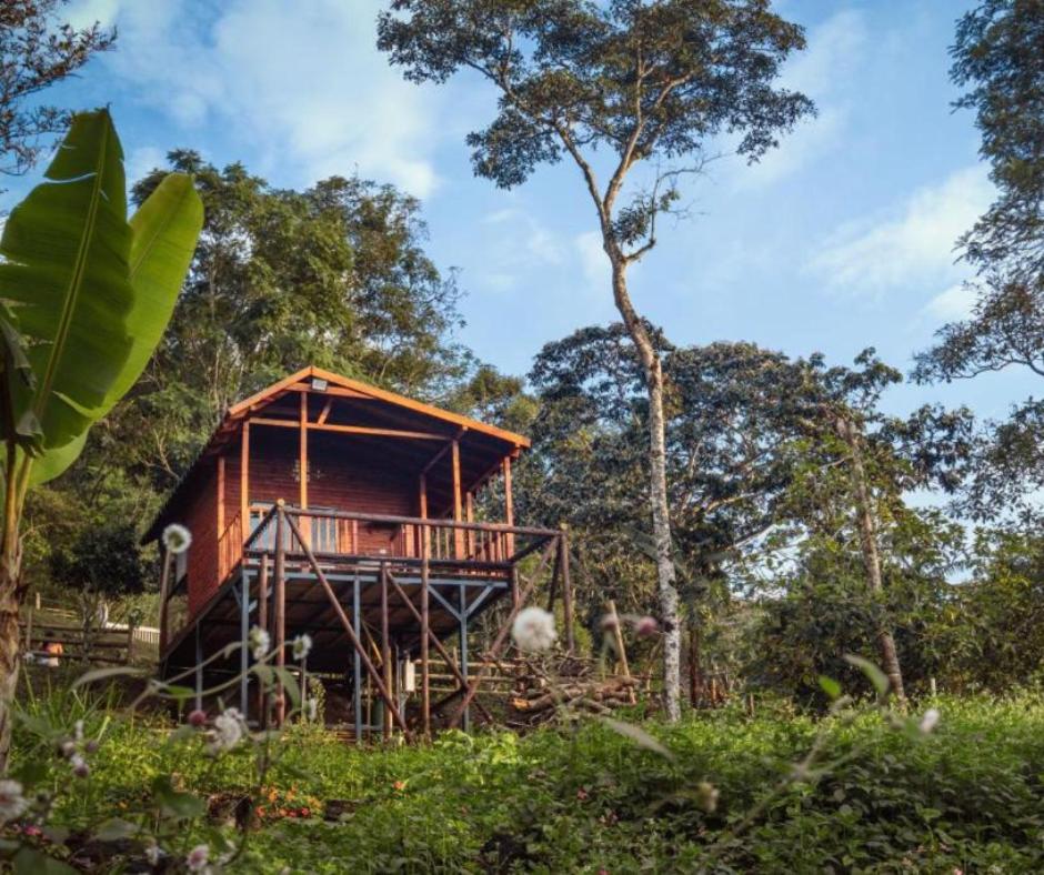 Glamping la Joyita