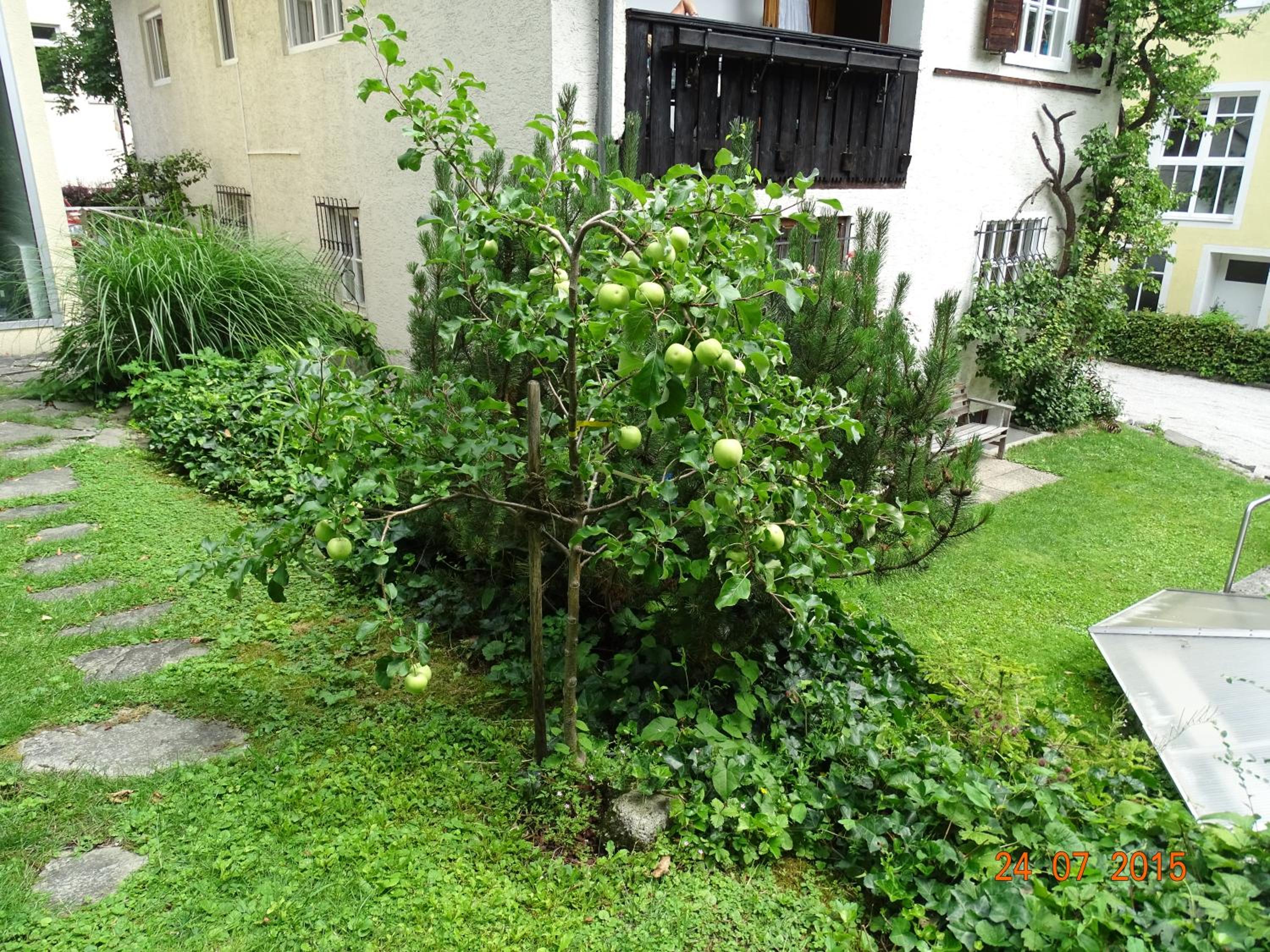 Photo 38