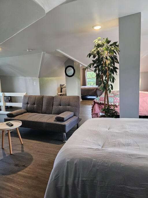 Spacious in the heart of it all view 3