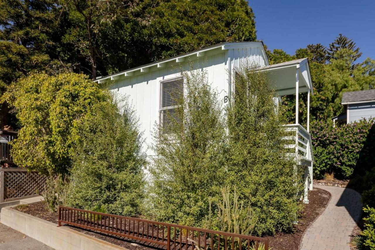 Seashell Sunshack