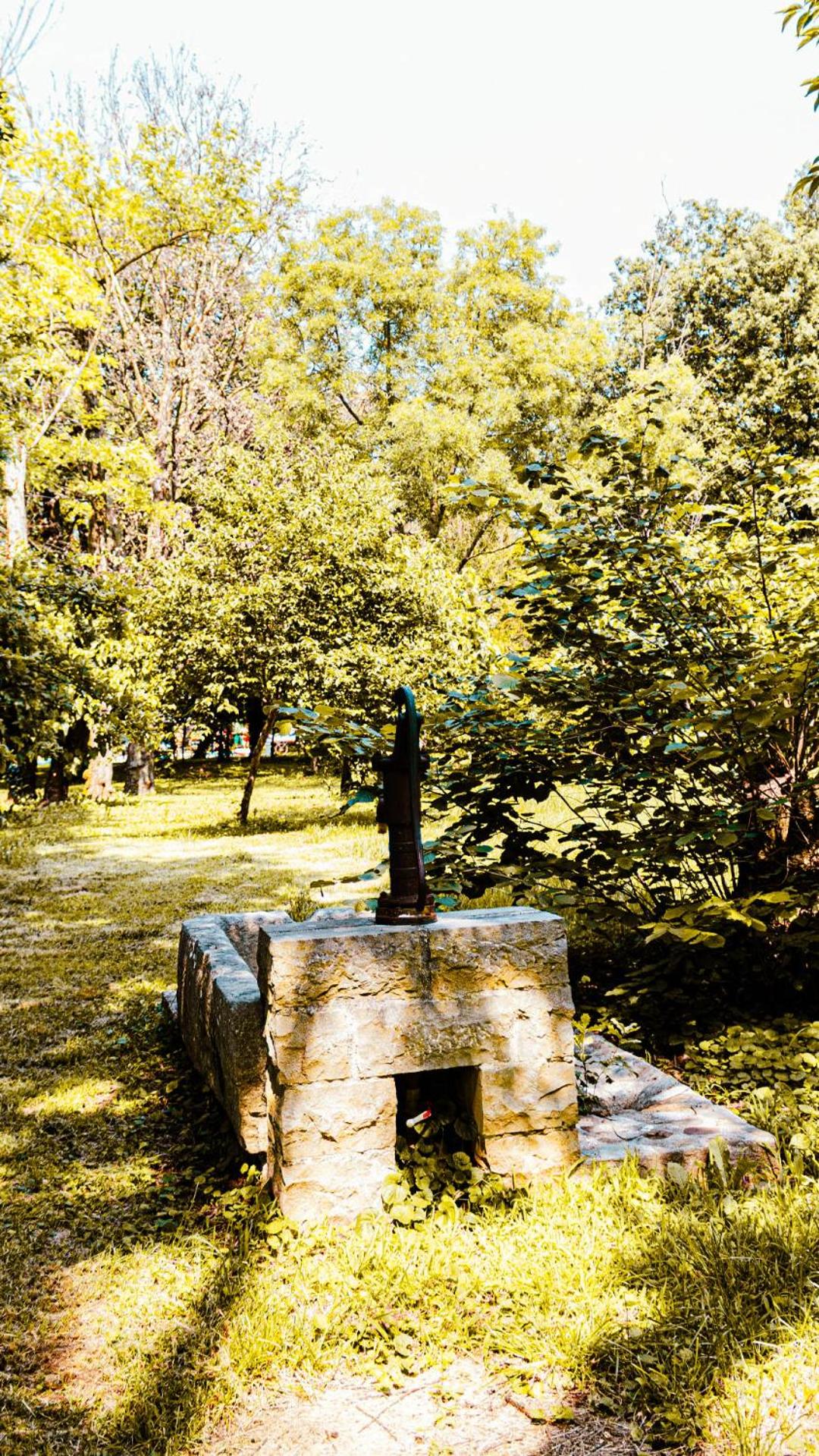 Photo 40