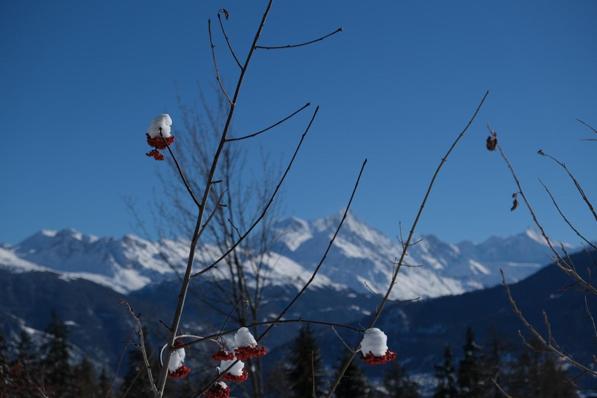 Spacieux appartement de 4,5 pièces avec vue sur les Alpes