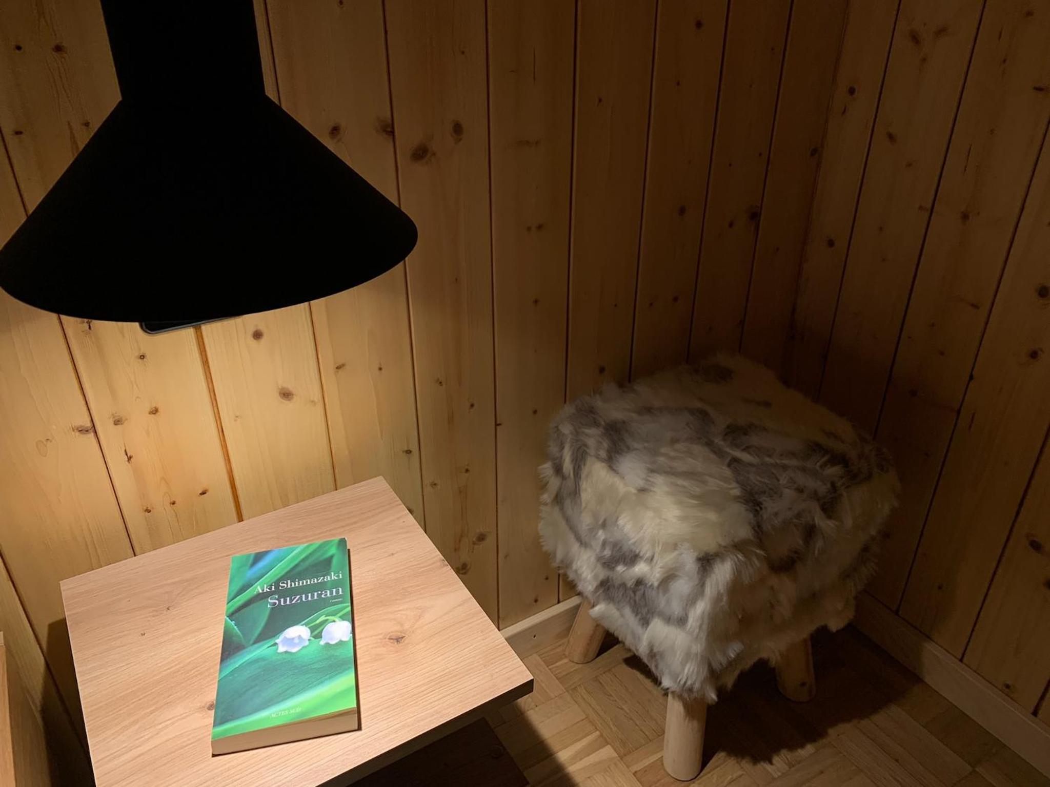 Spacieux appartement de 4,5 pièces avec vue sur les Alpes