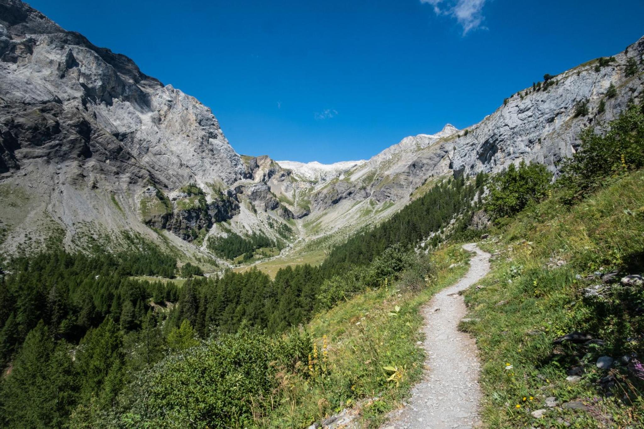 Spacieux appartement de 4,5 pièces avec vue sur les Alpes