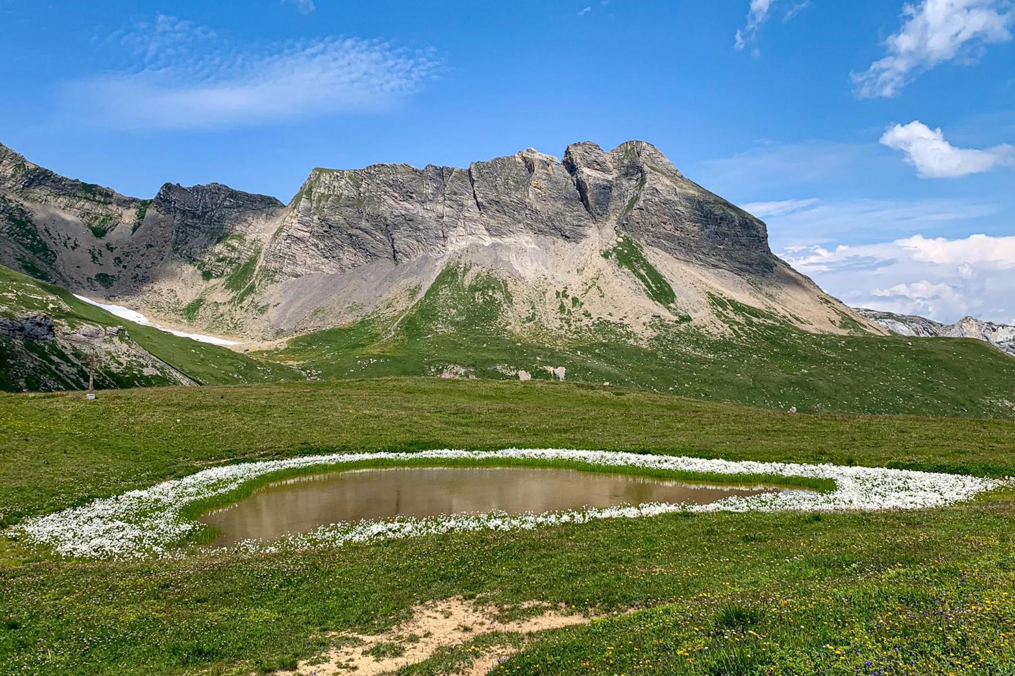 Spacieux appartement de 4,5 pièces avec vue sur les Alpes