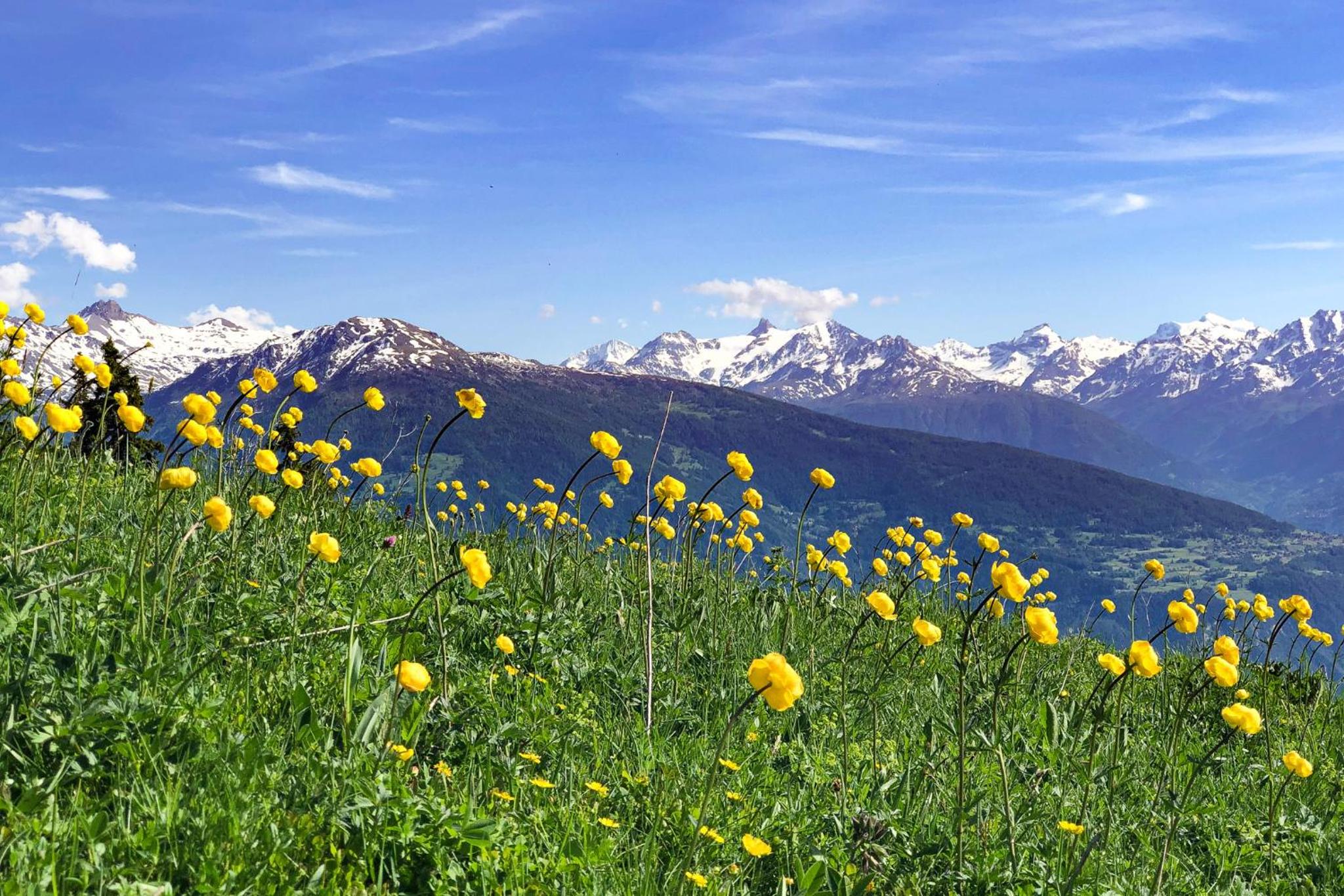 Spacieux appartement de 4,5 pièces avec vue sur les Alpes