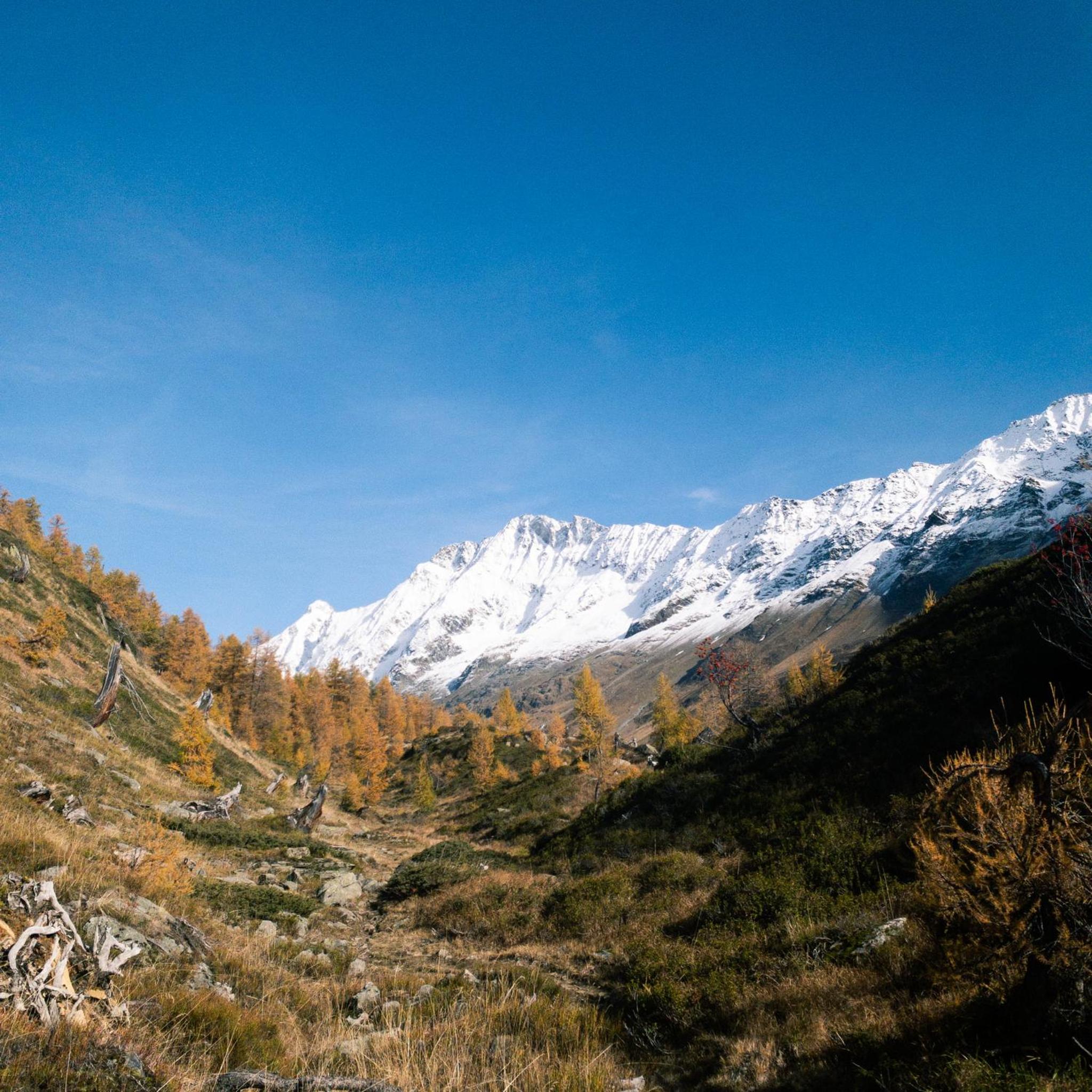 Spacieux appartement de 4,5 pièces avec vue sur les Alpes