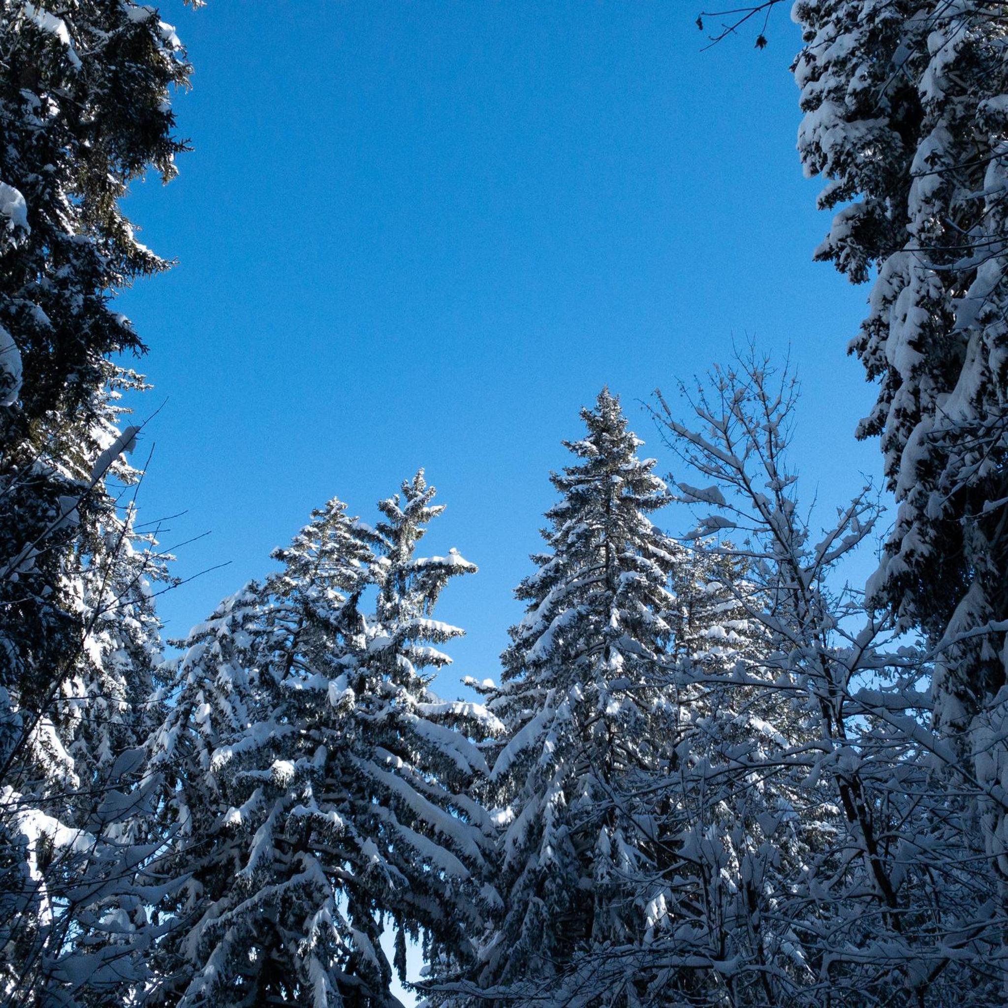 Spacieux appartement de 4,5 pièces avec vue sur les Alpes