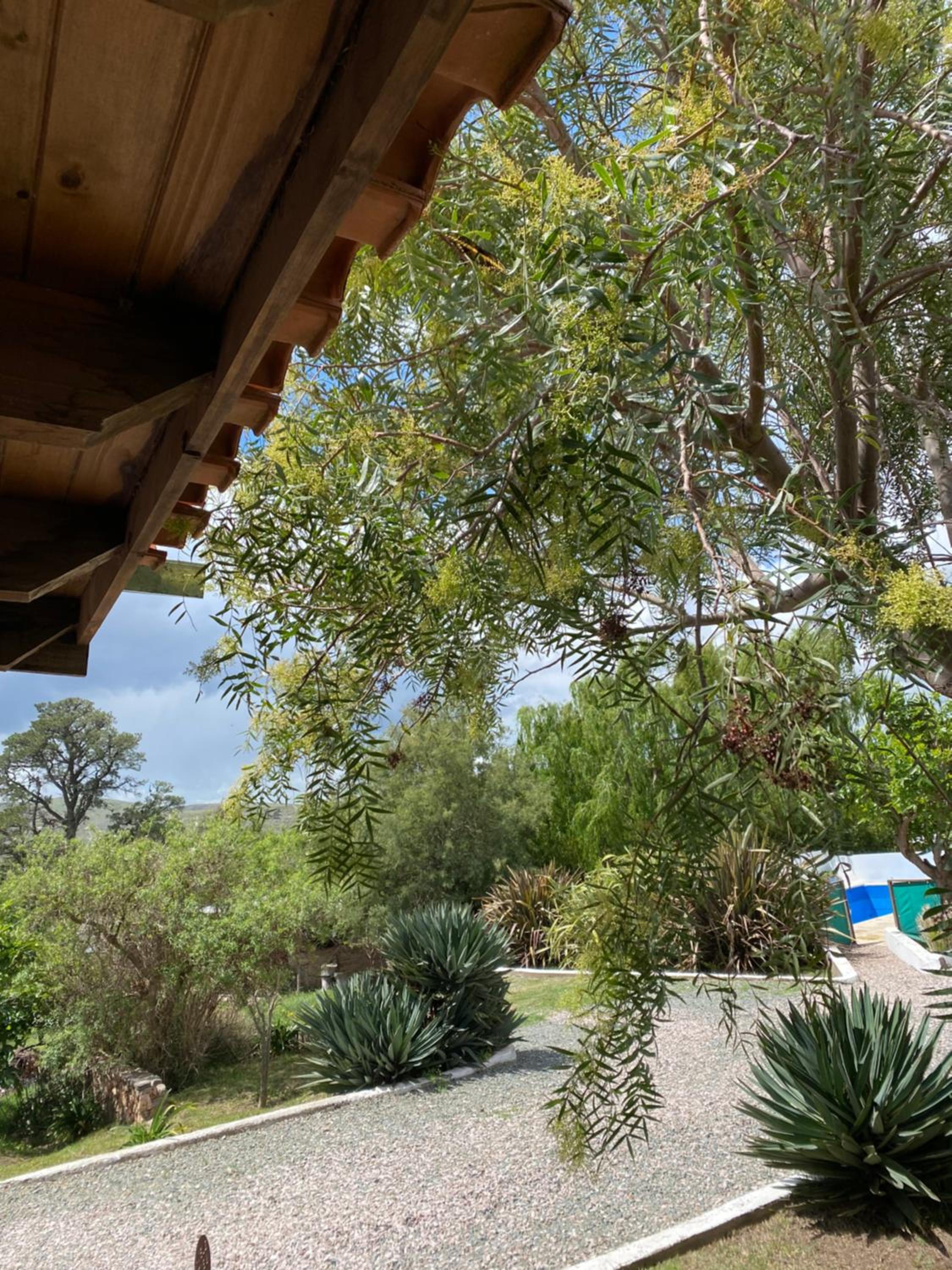 La Candelaria - Casas de Campo -