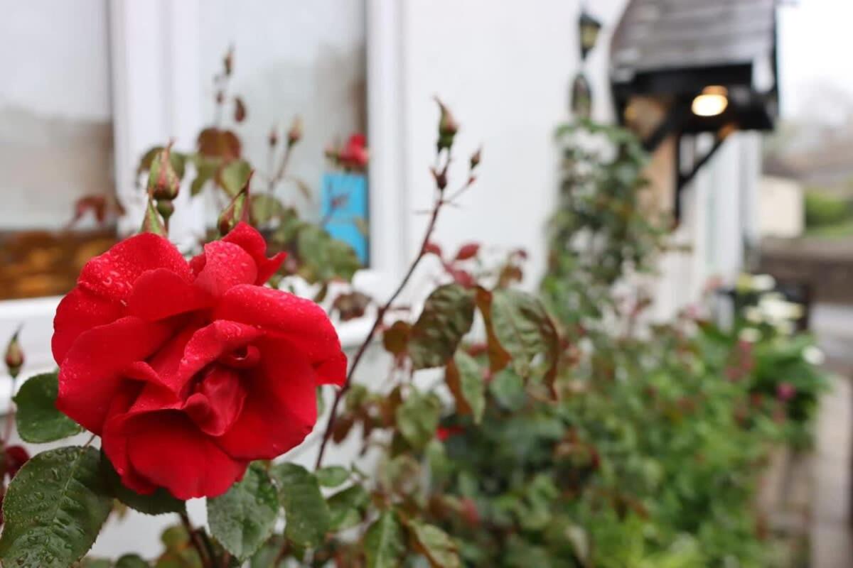 Beautiful Cottage Parking Central Dunster