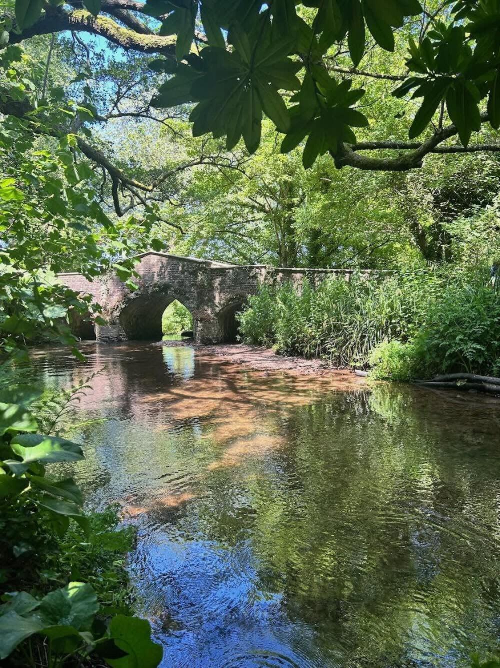 Beautiful Cottage Parking Central Dunster