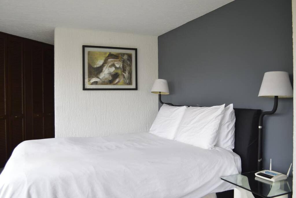 Zona Rosa Apartment Angel of Independence 1 Block in CDMX photo 2