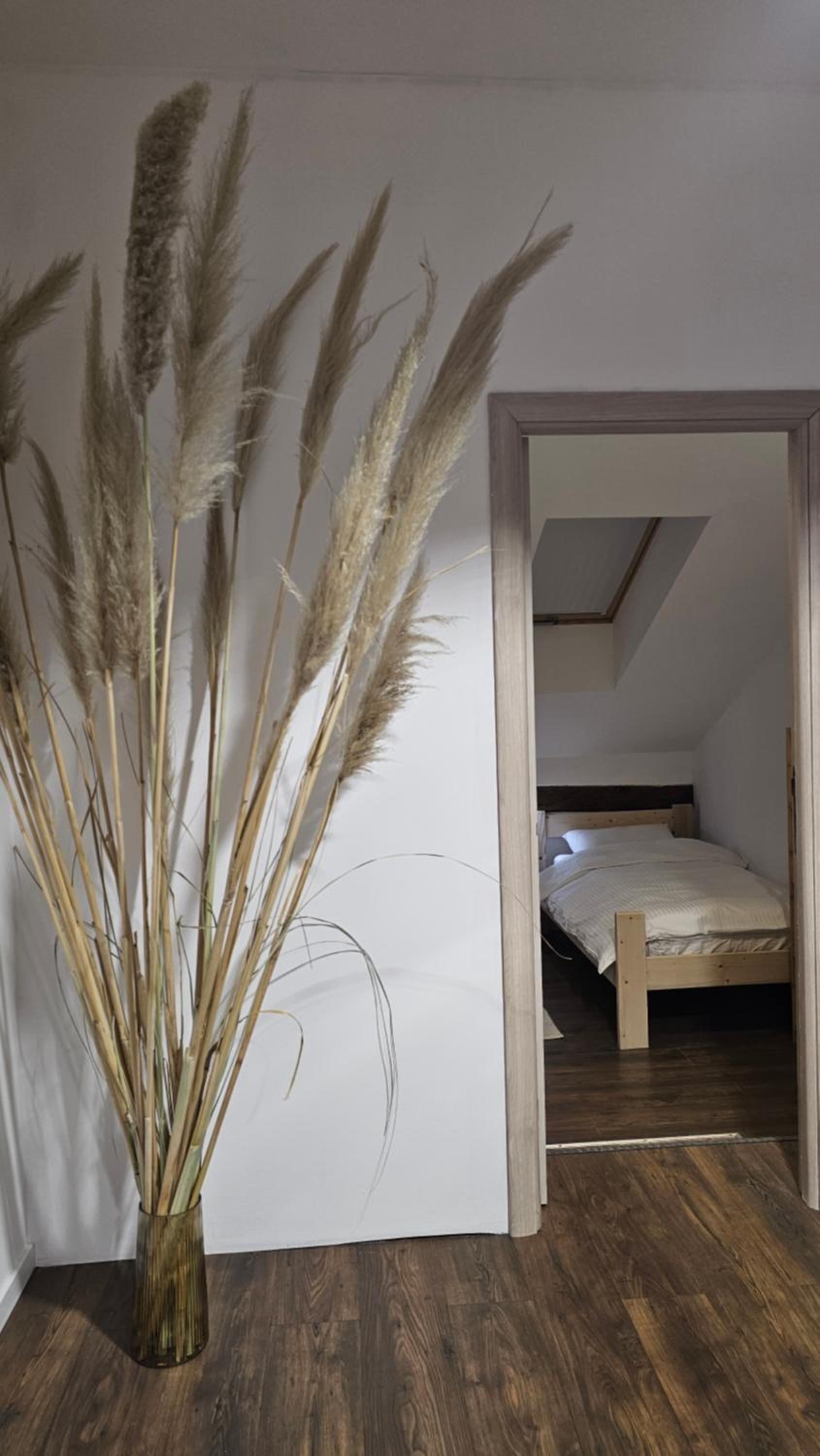 Pašić Apartman
