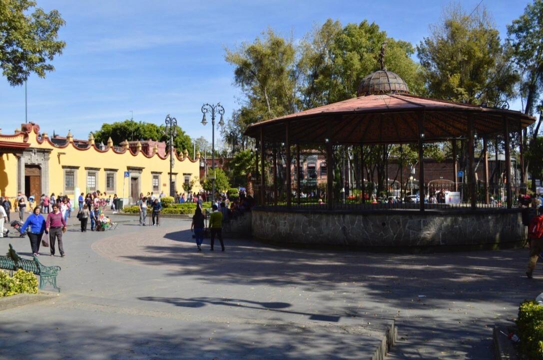 Cute Amazing Coyoacan Loft with Rooftop Lounge Smart TV