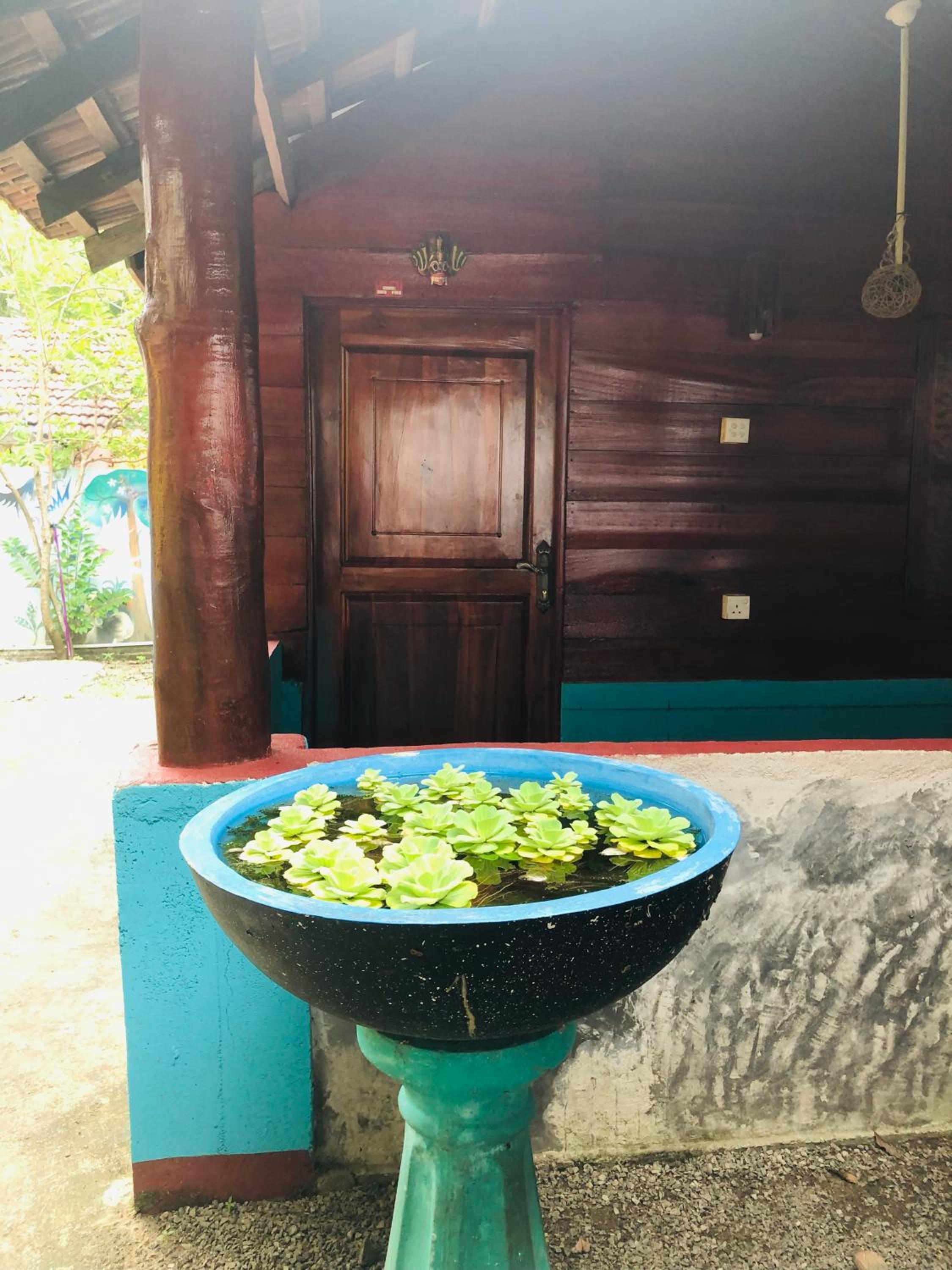 Kottamba Resort and Coworker Hostel