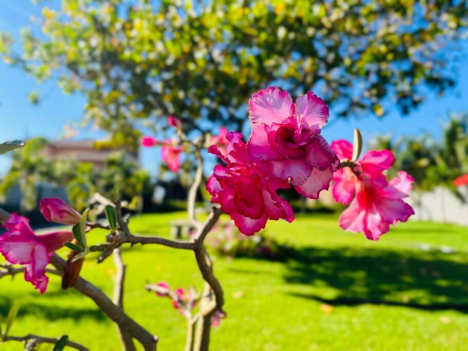 Casa com Piscina Aquecida perto dos parques - Recanto Quinta das Palmeiras Olímpia-SP