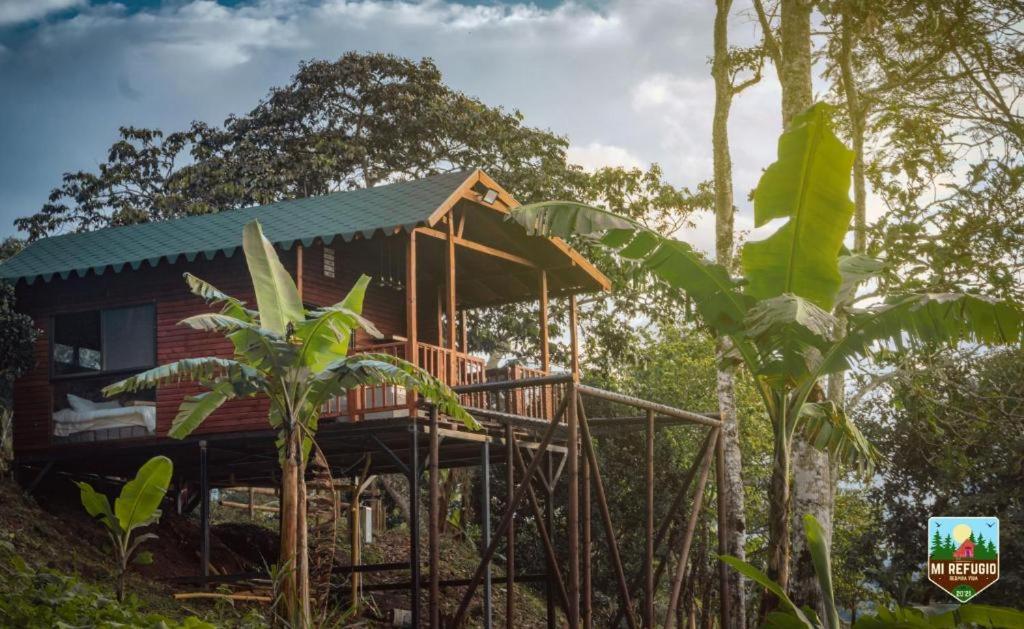 Glamping la Joyita