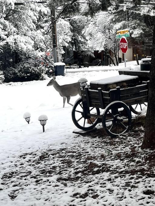 Payson Vacations - Peaceful Pine Place Cabin - Property Image 3