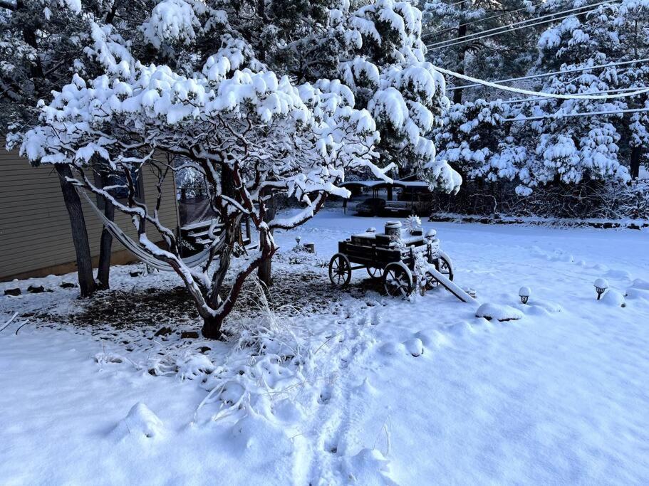 Payson Vacations - Peaceful Pine Place Cabin - Property Image 4