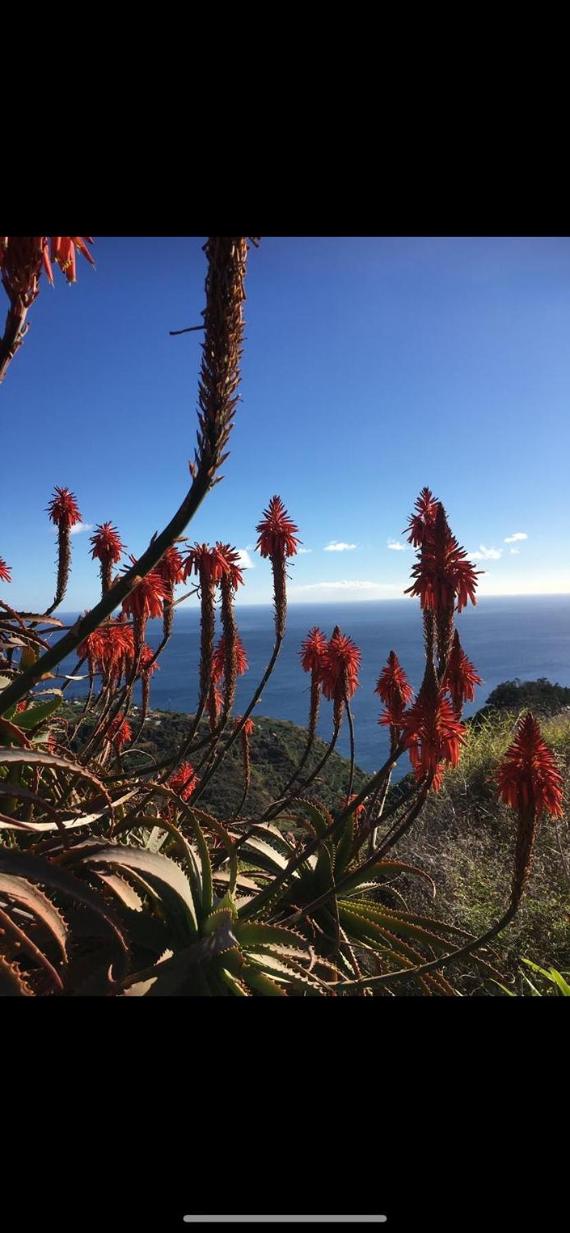 Pico Paraiso Madeira