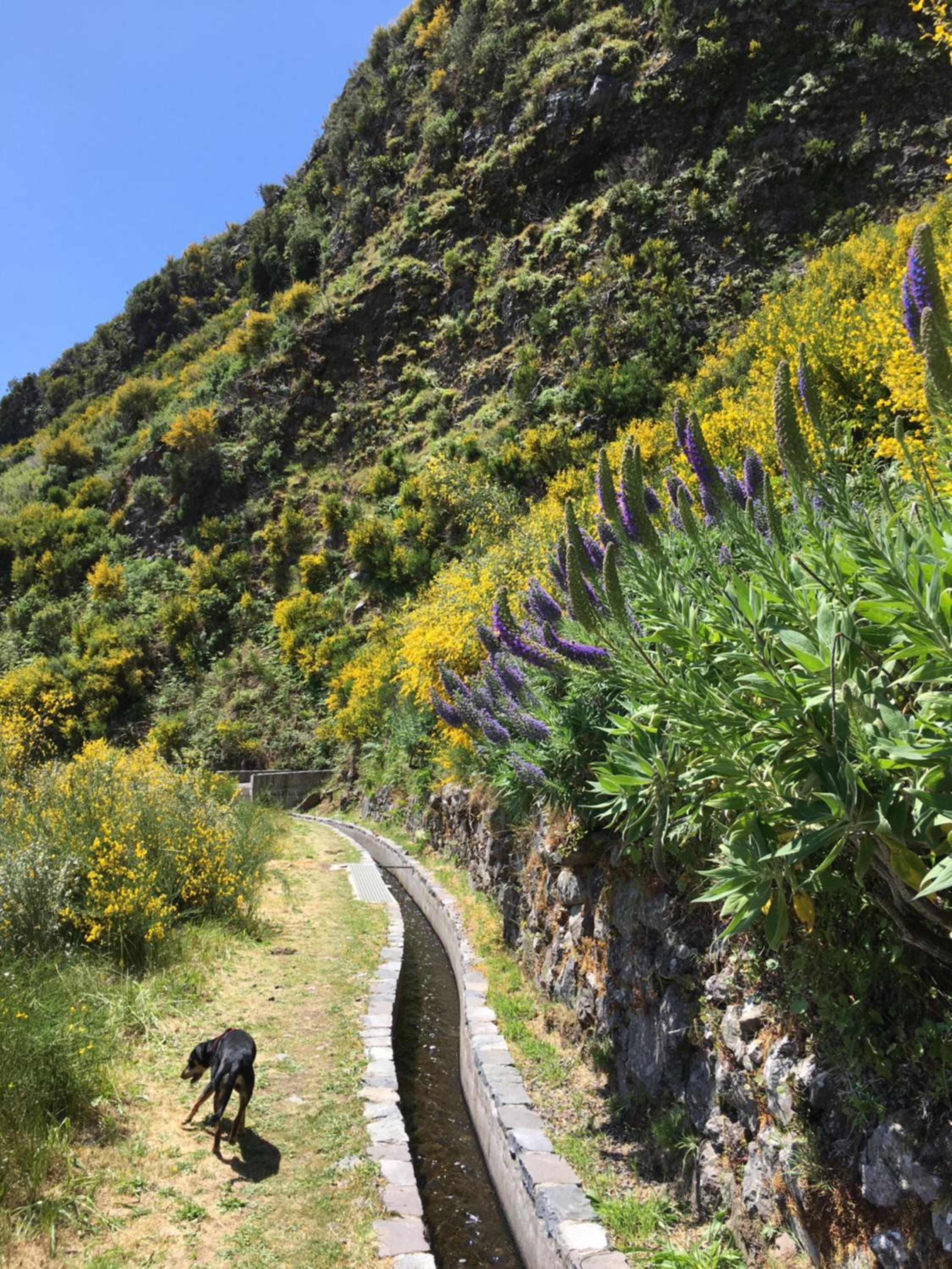 Pico Paraiso Madeira