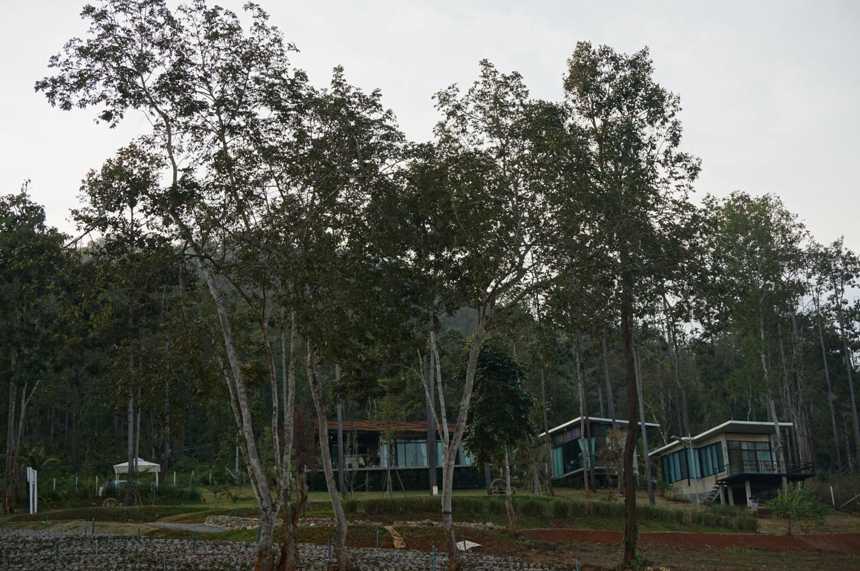Phu Pha View Doi
