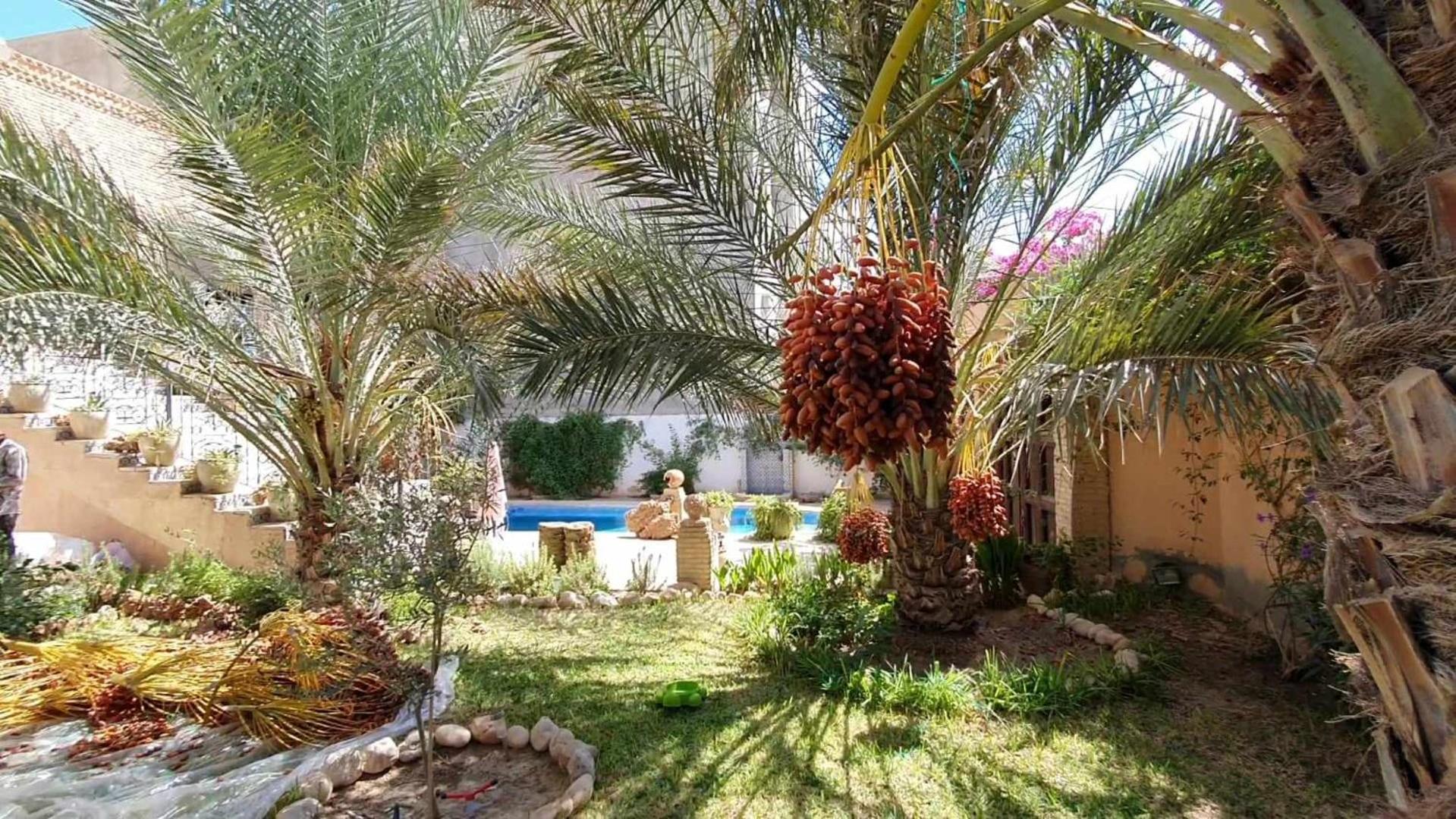 Maison hôte Dar Traki view 5