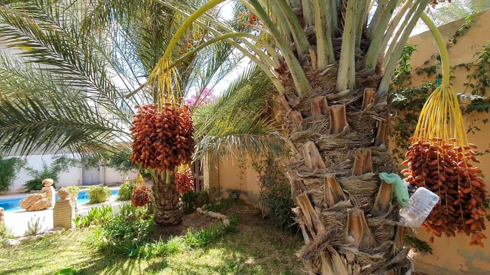 Maison hôte Dar Traki view 3
