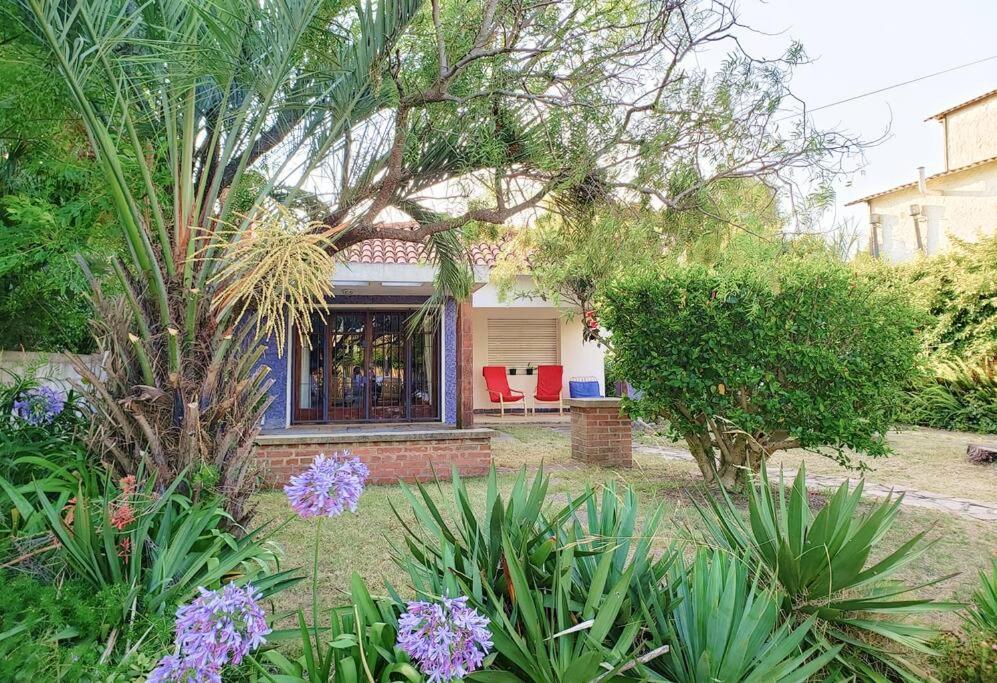 Casa céntrica, amplia y fresca, a metros del mar view 2