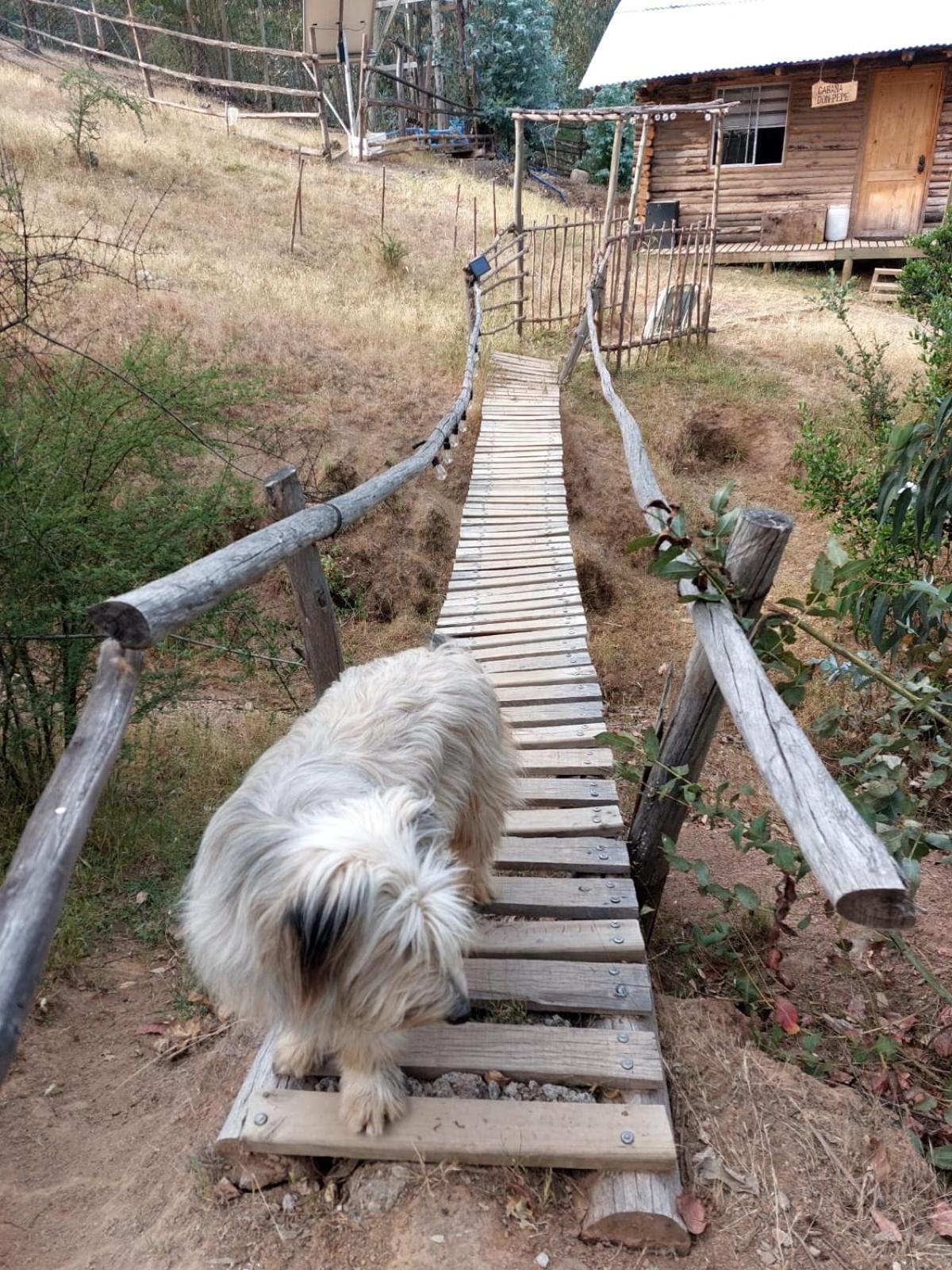 Estancia Don Domingo