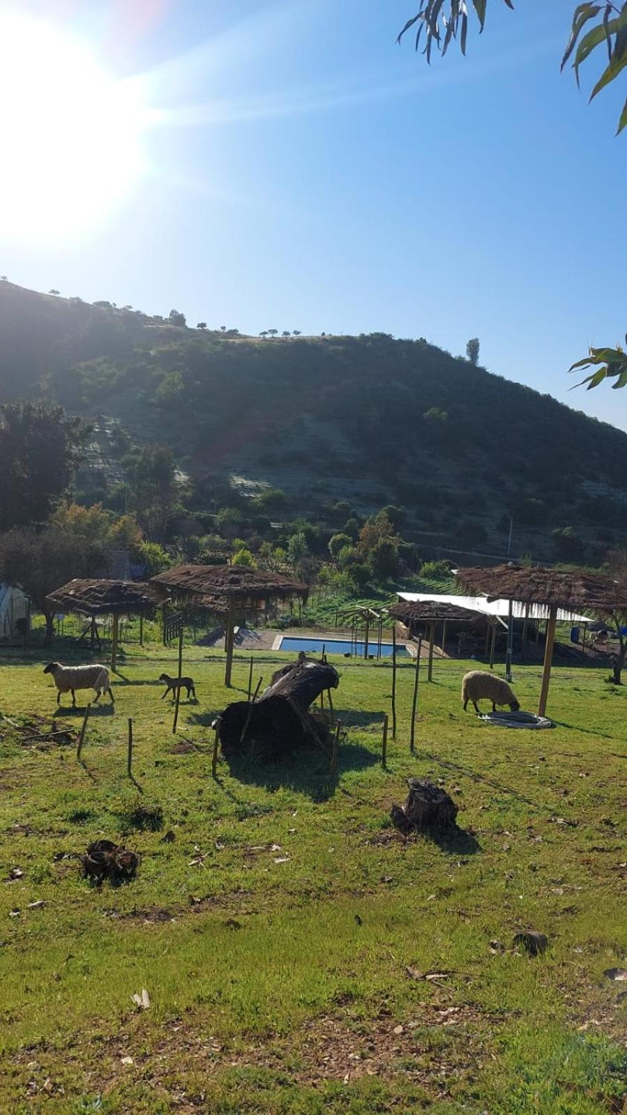 Estancia Don Domingo