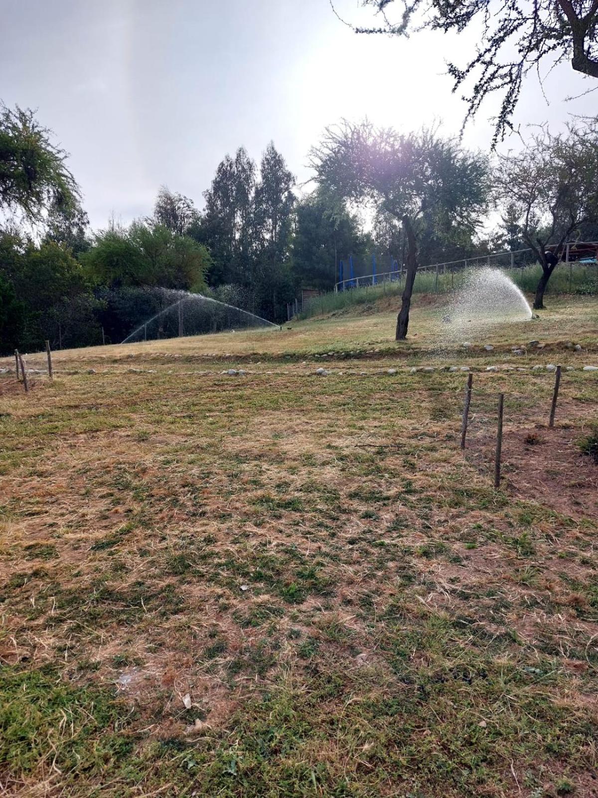 Estancia Don Domingo