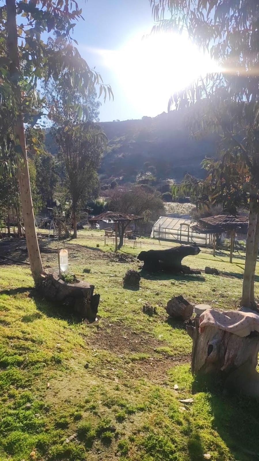Estancia Don Domingo