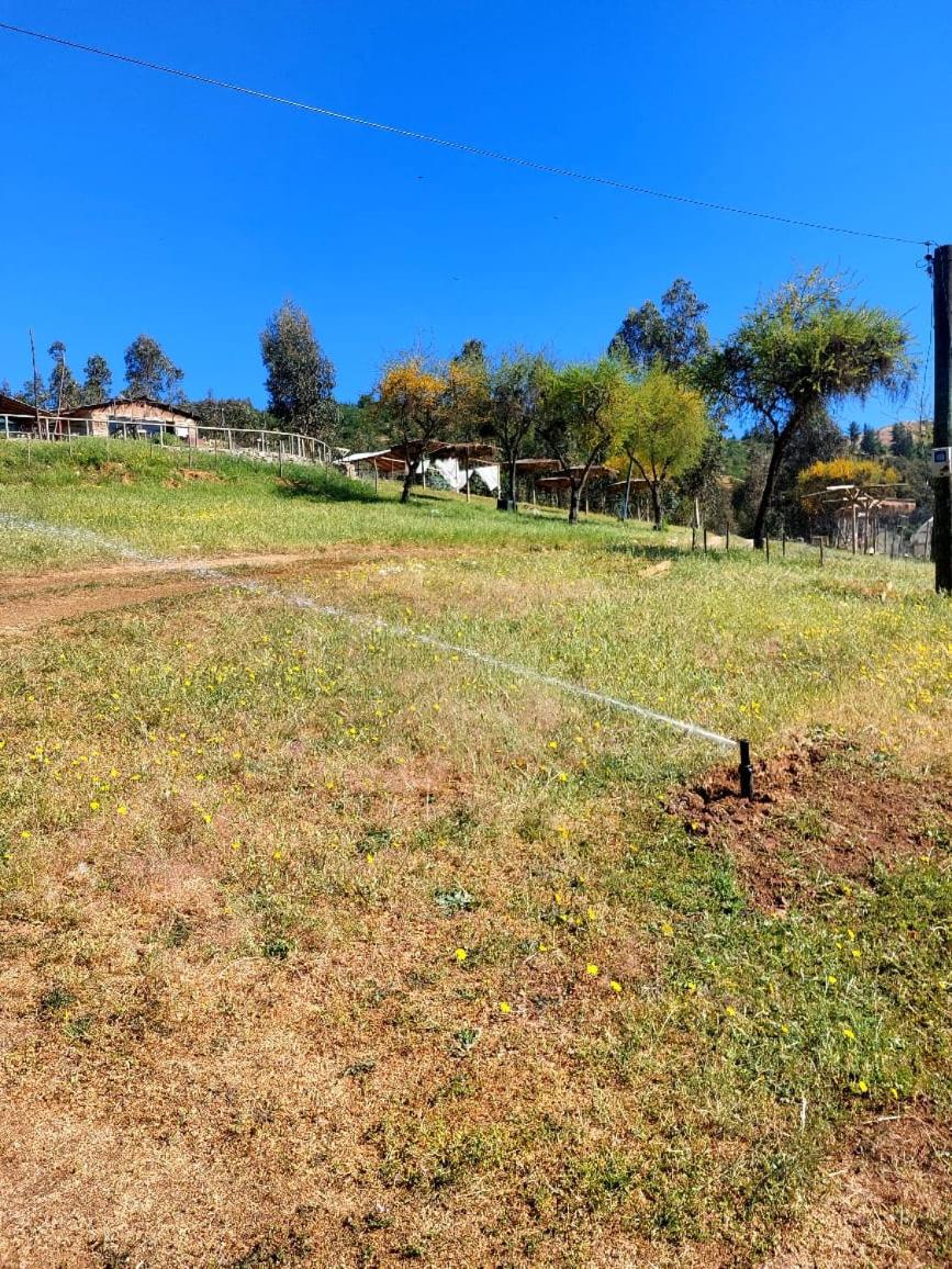 Estancia Don Domingo