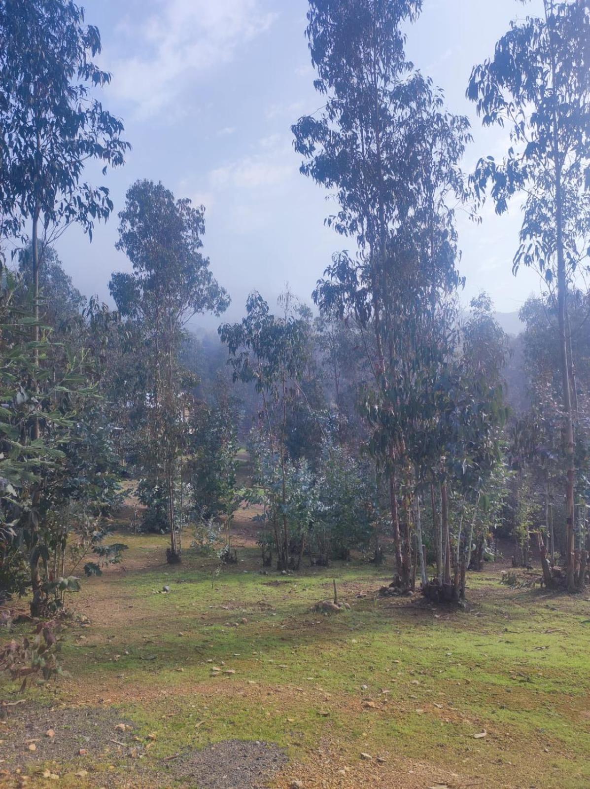 Estancia Don Domingo