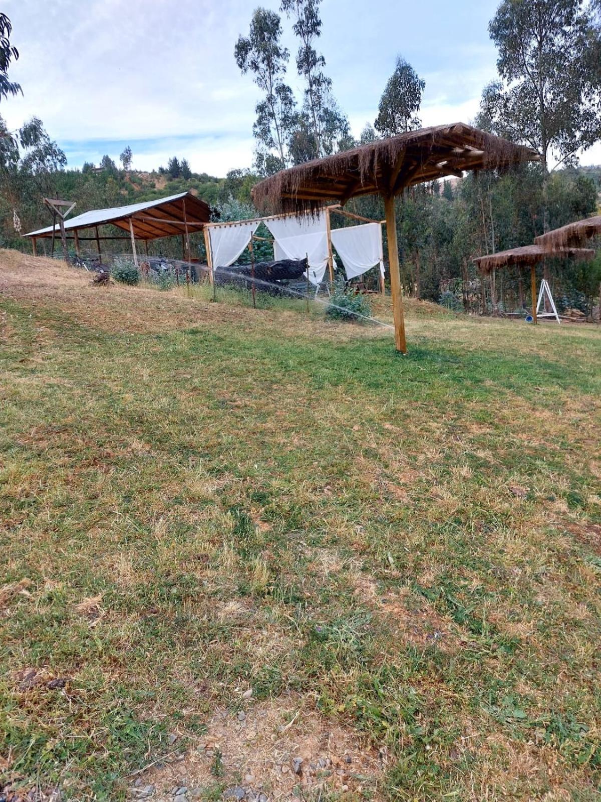 Estancia Don Domingo