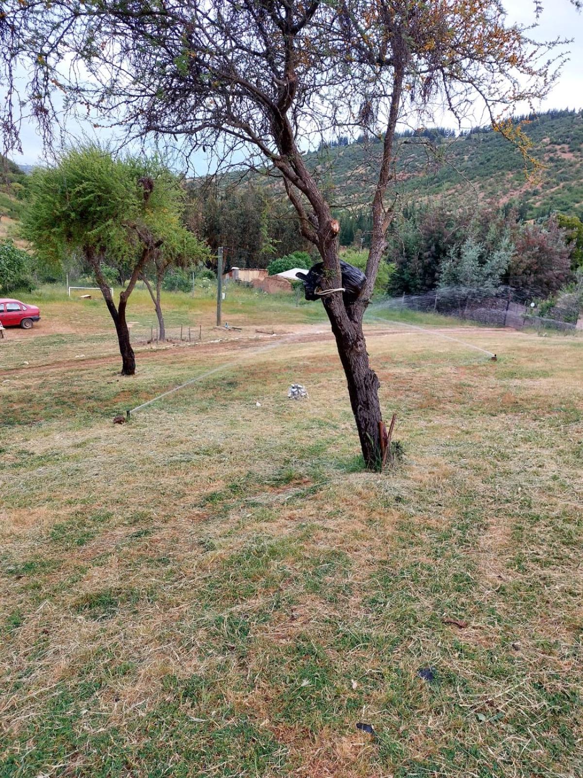 Estancia Don Domingo
