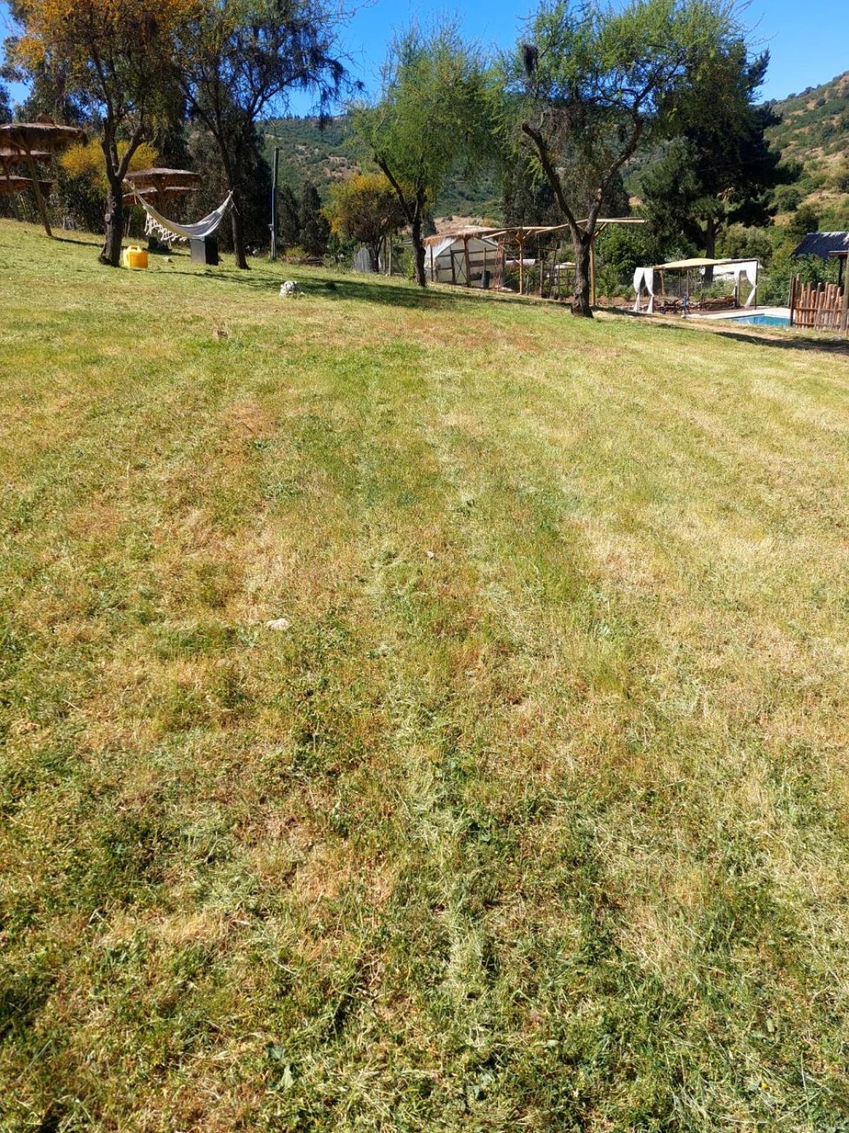 Estancia Don Domingo