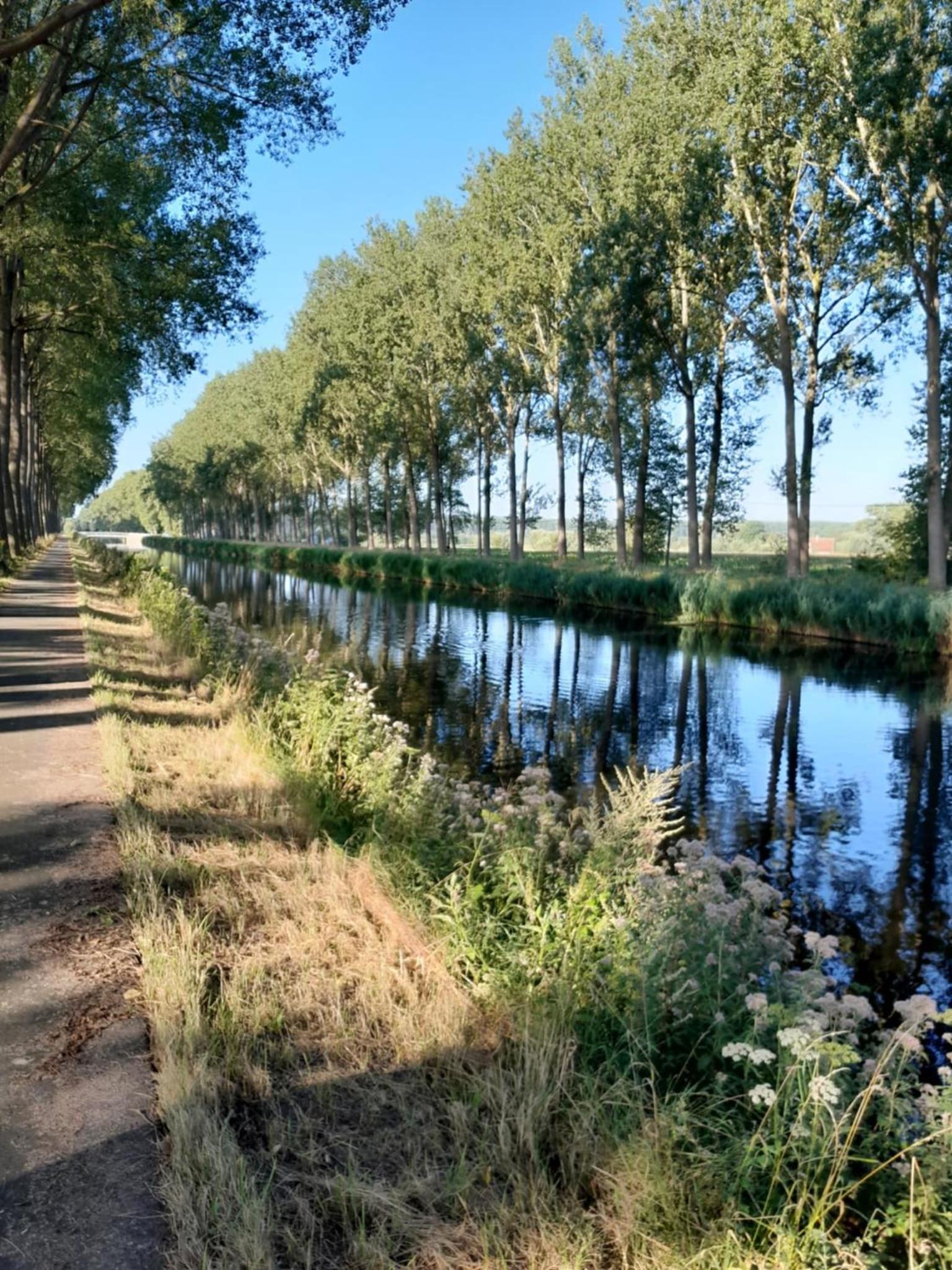 Vakantiehuis Schardauw