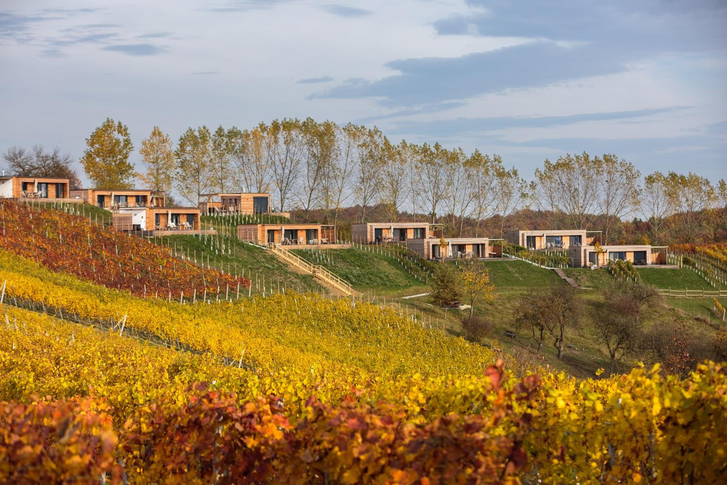 Weingarten-Resort Unterlamm Loipersdorf - ADULTS ONLY
